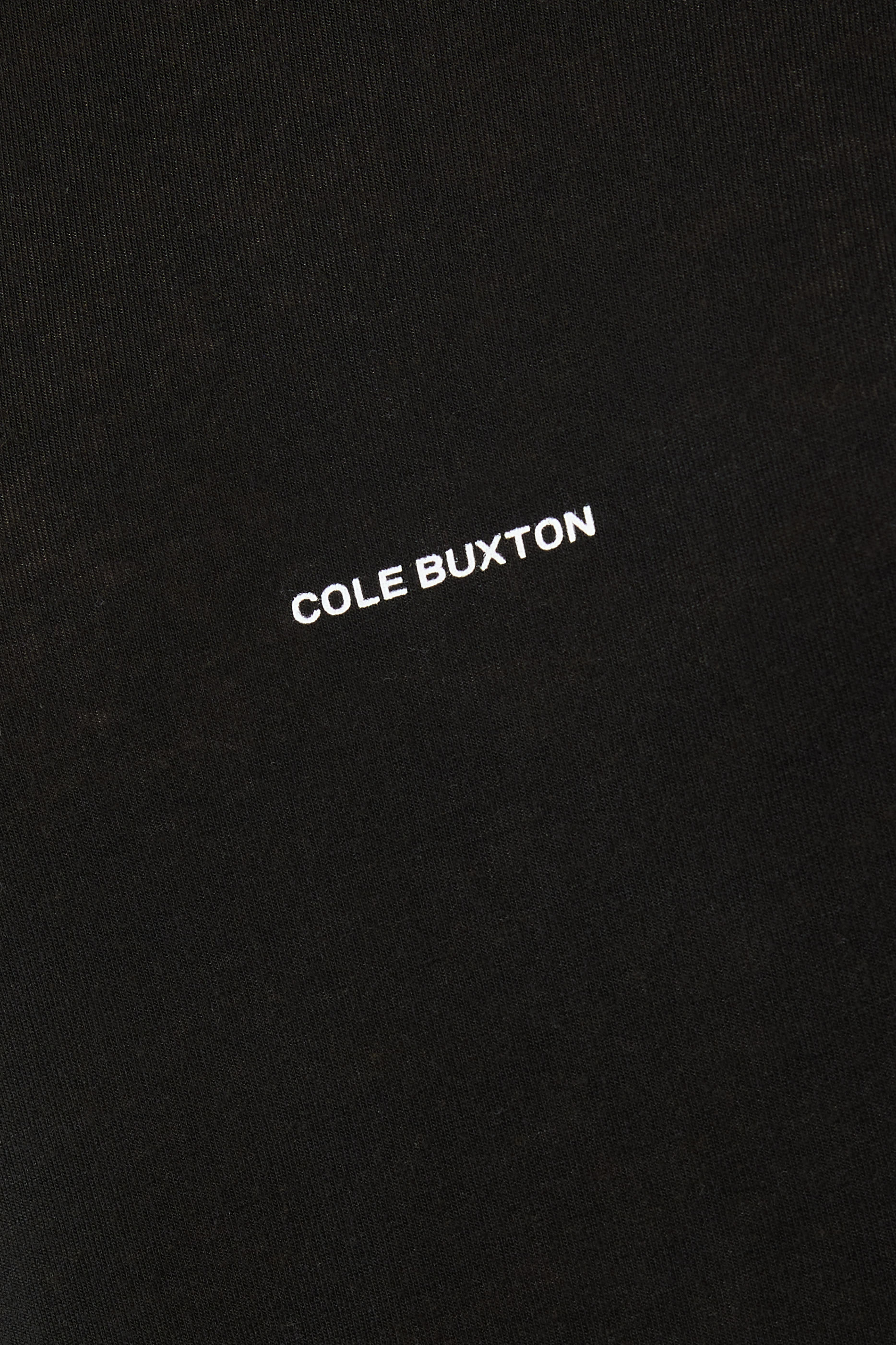  Mini Logo Sheer Long Sleeve T-Shirt