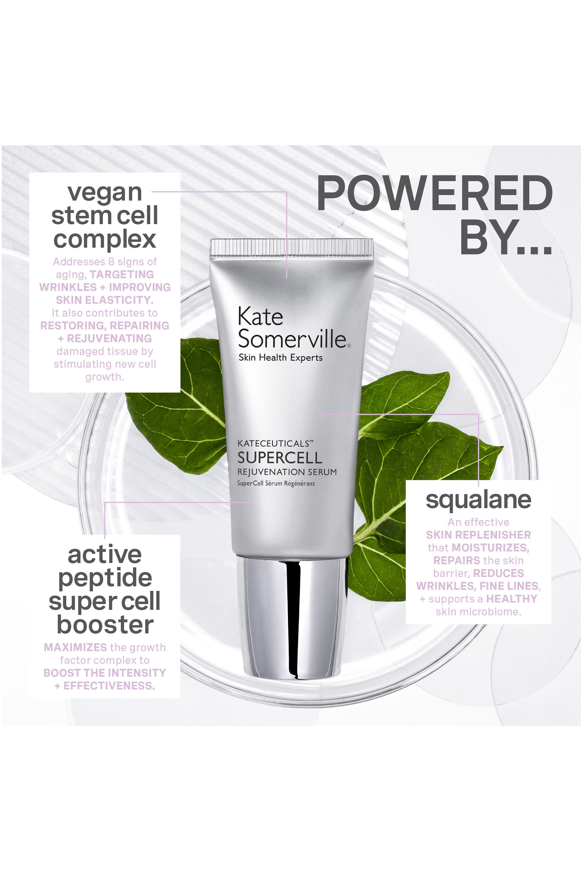 KateCeuticals SuperCell Rejuvenation Serum