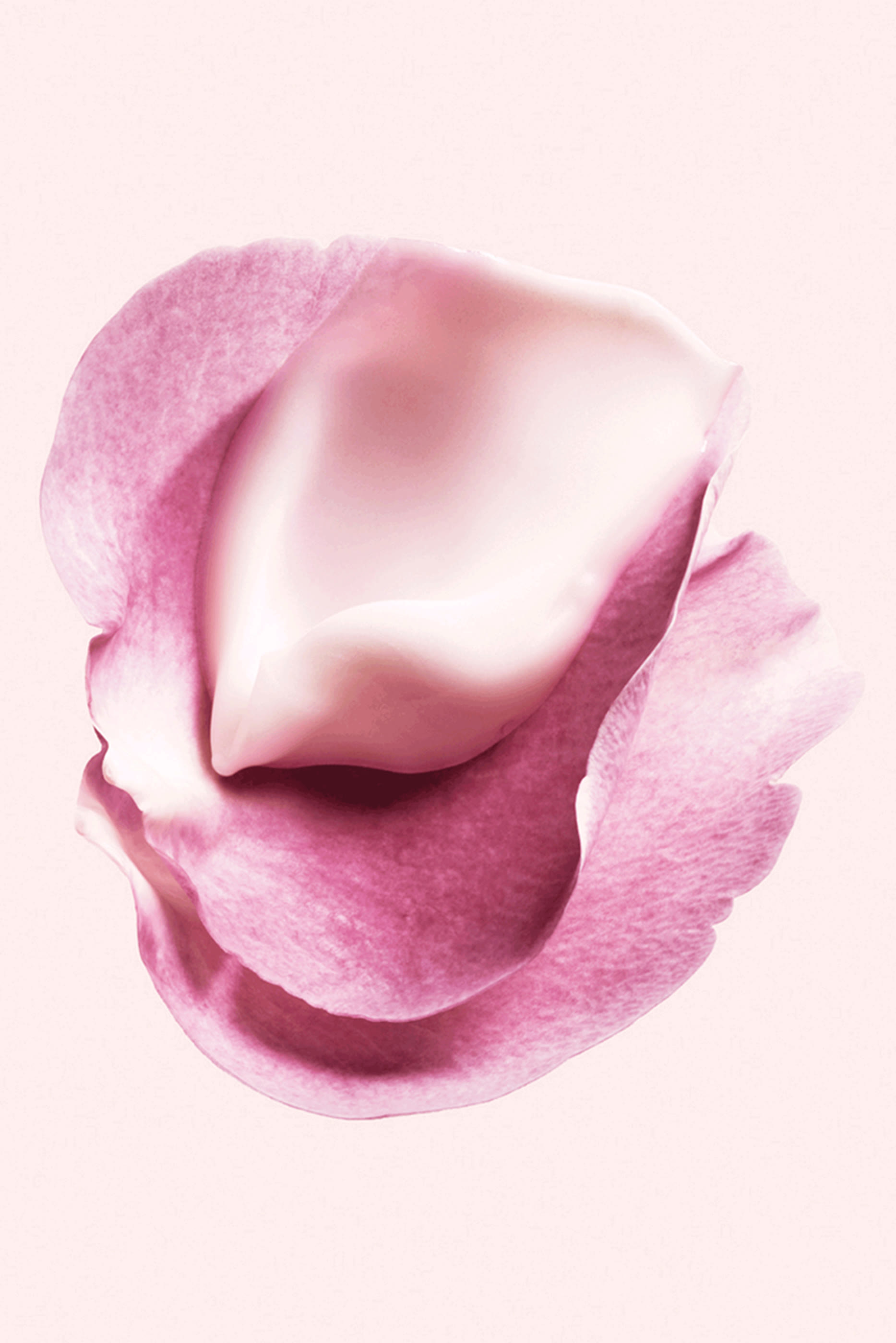 L'Intemporel Blossom Eyes Serum