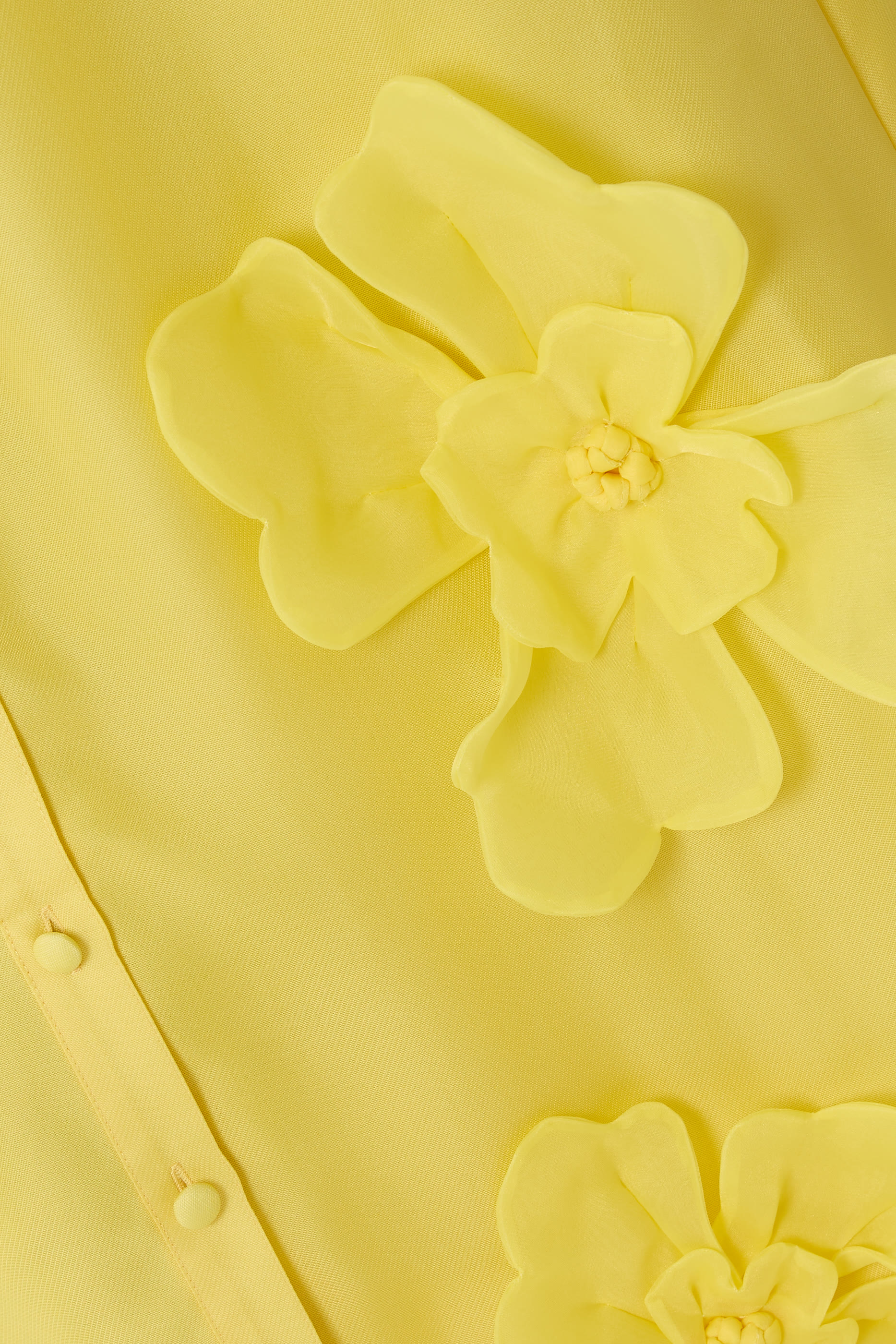  Jeanette Silk Floral Appliqué Maxi Dress