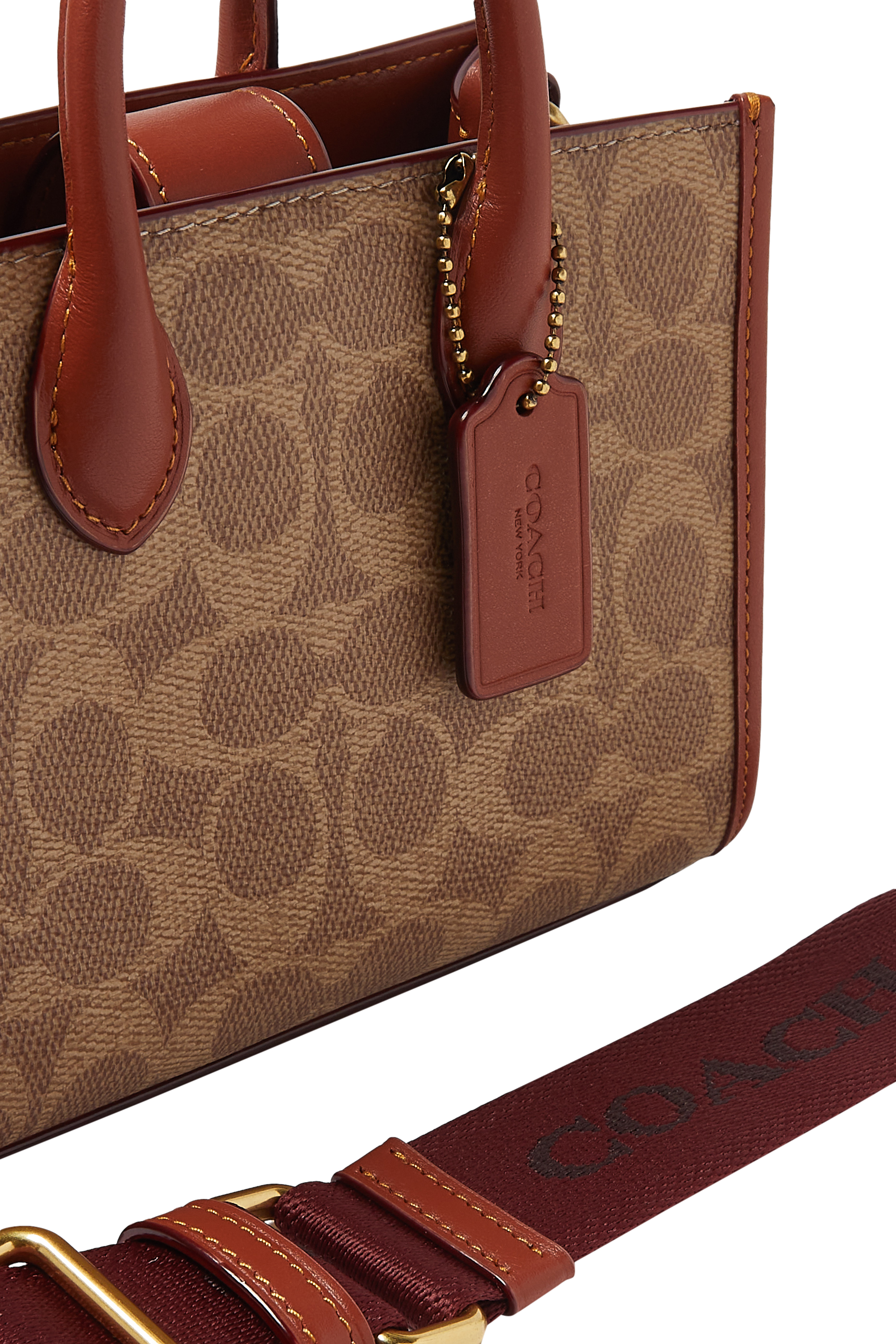 Ace 17 Tote Bag in Signature Canvas