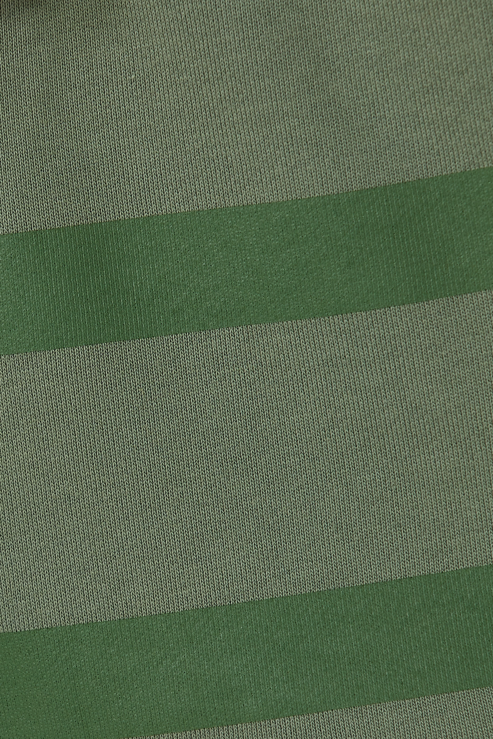 Spike Applique Shorts