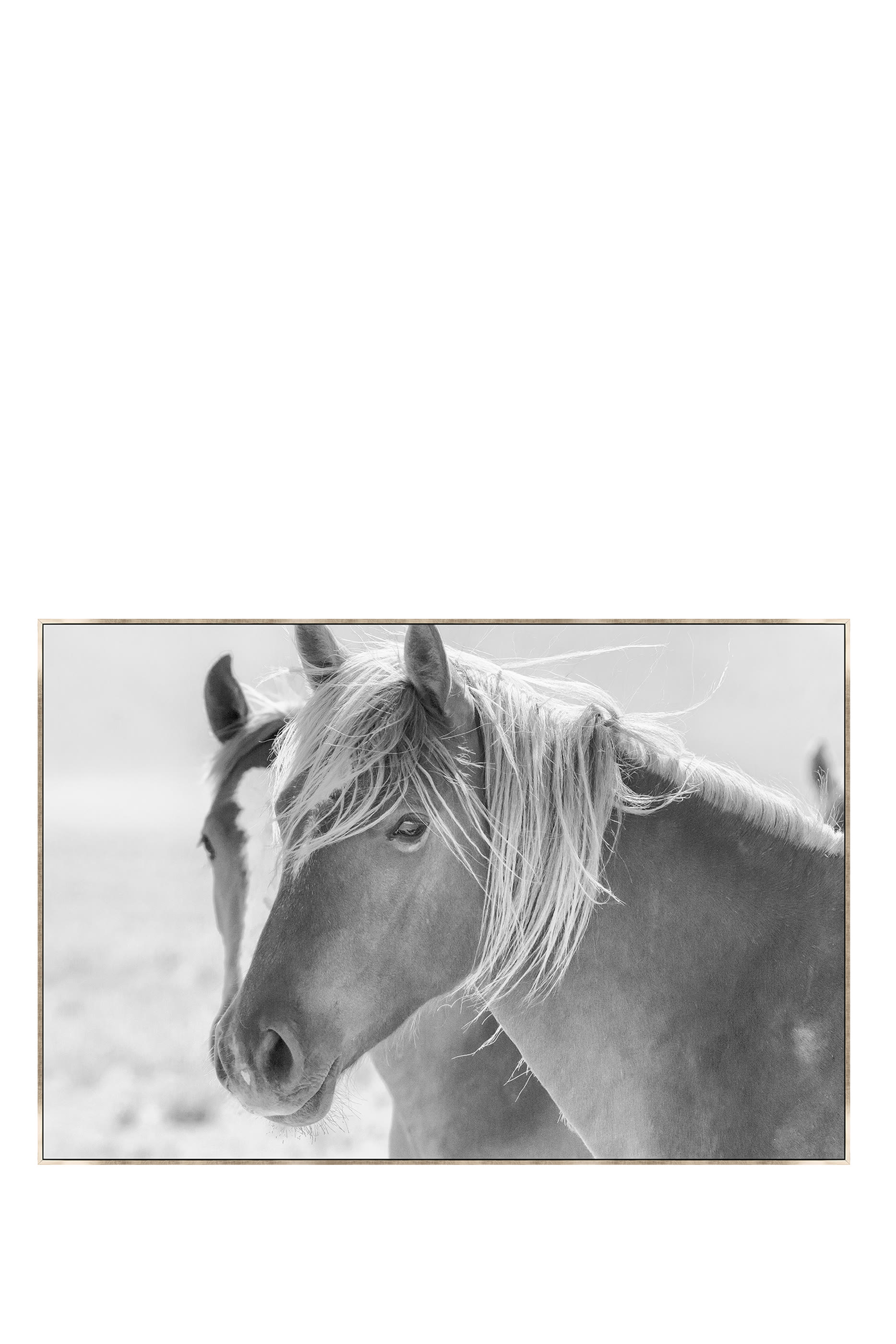 'Dreamer' Fine Art Print