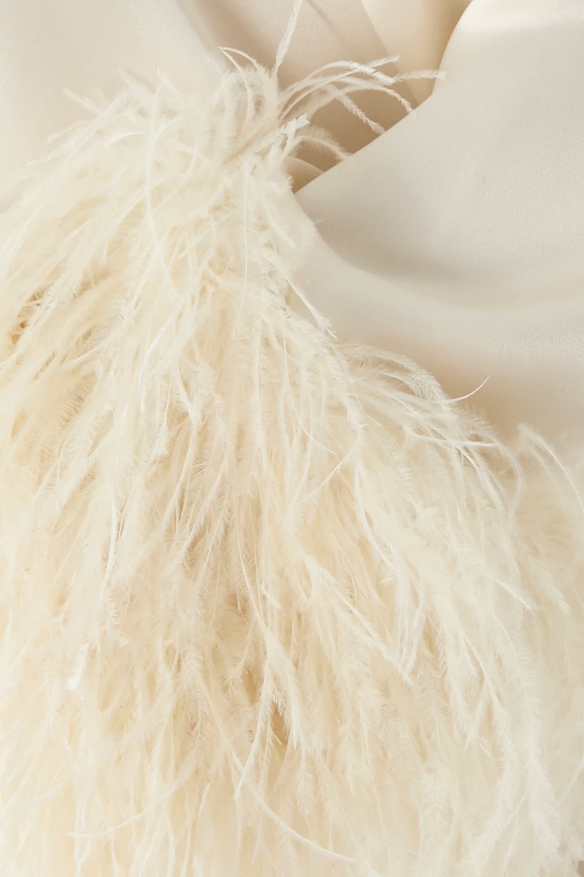 Satin Top With Feathers