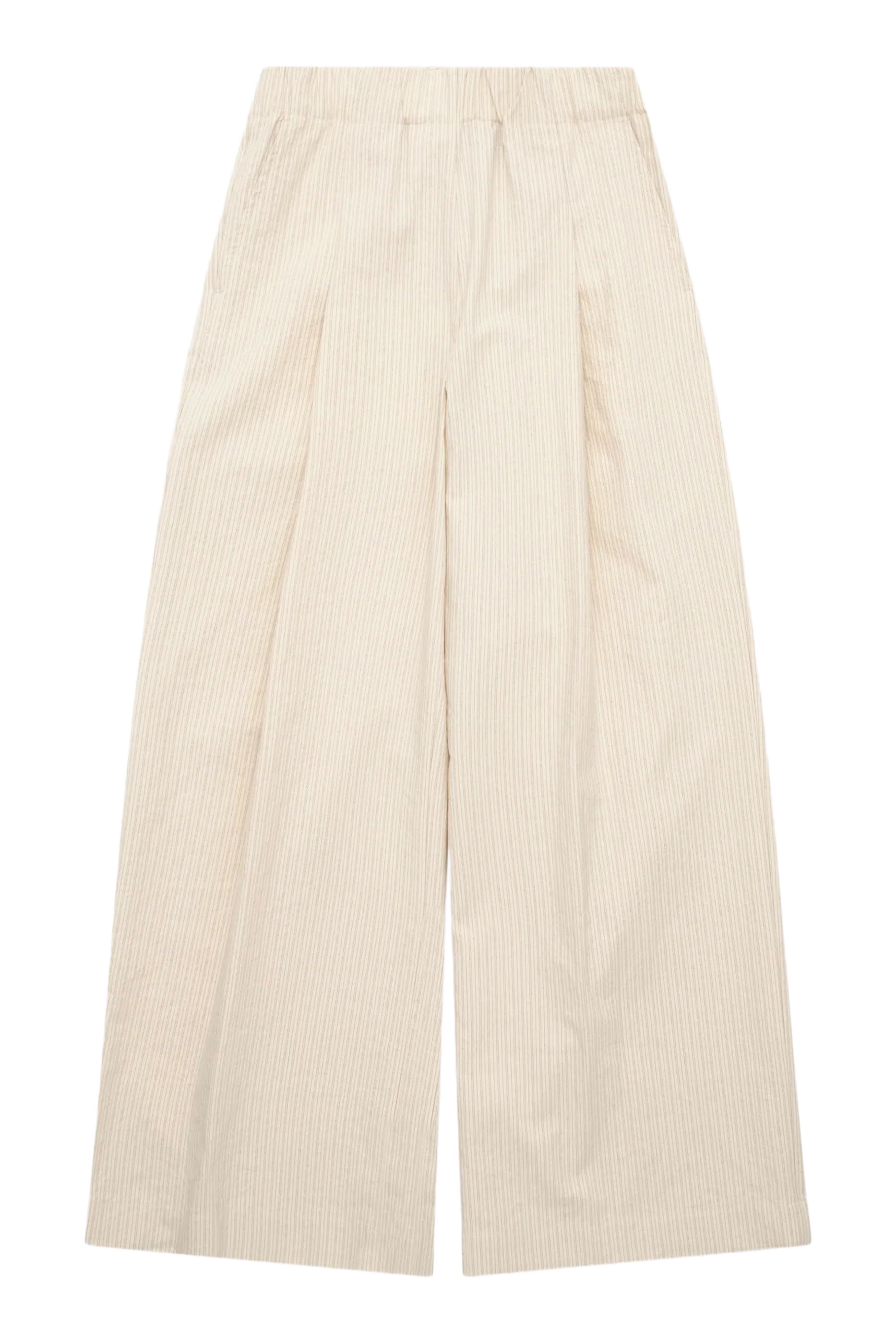 Wide Pleated Pants 
