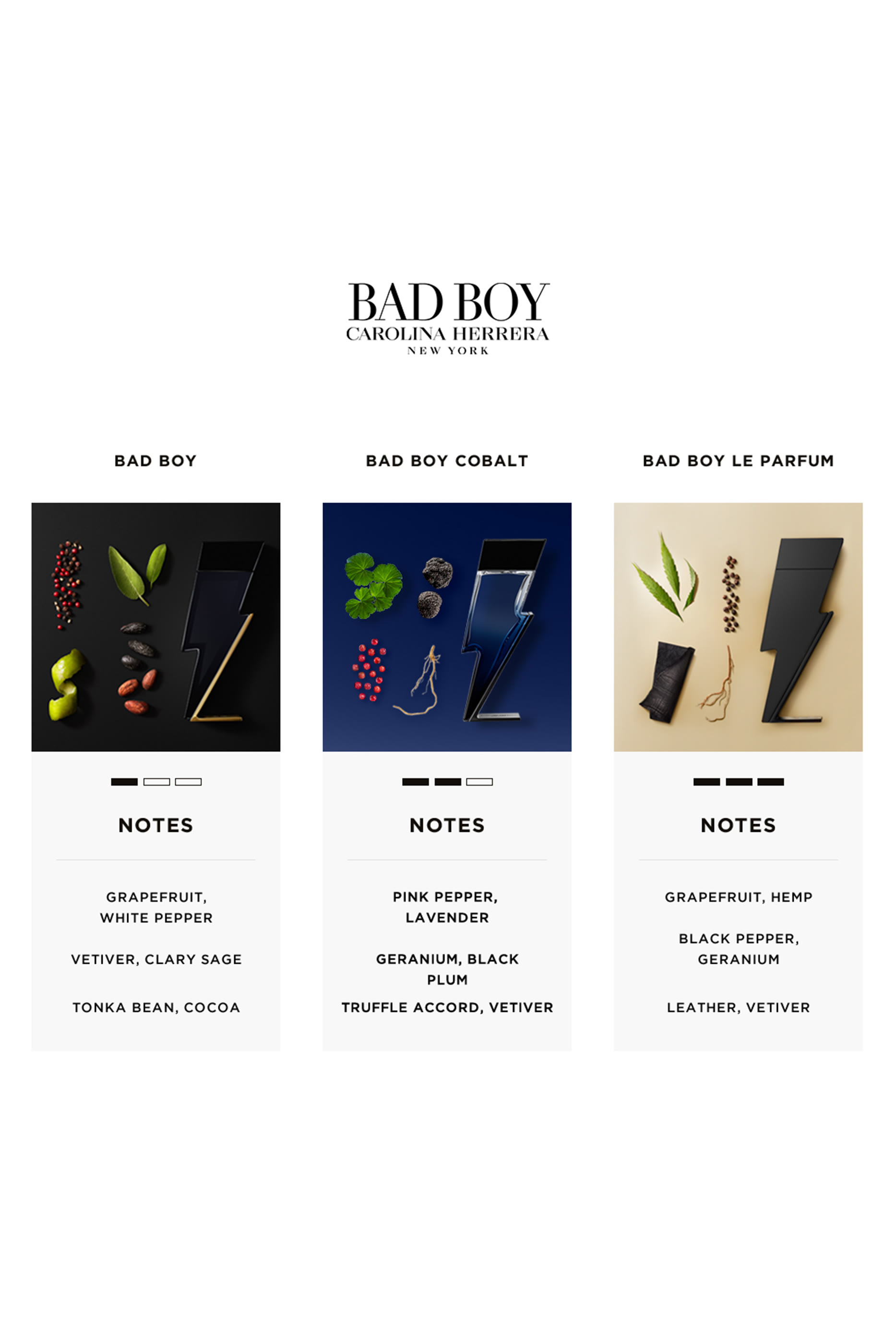Bad Boy Eau de Toilette