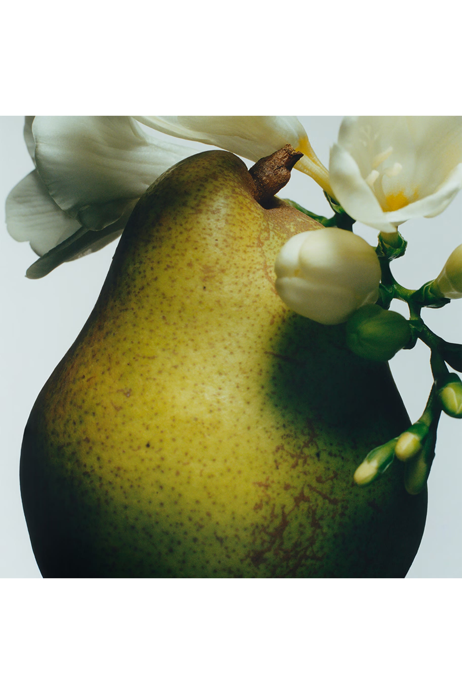 English Pear and Freesia Deluxe Candle