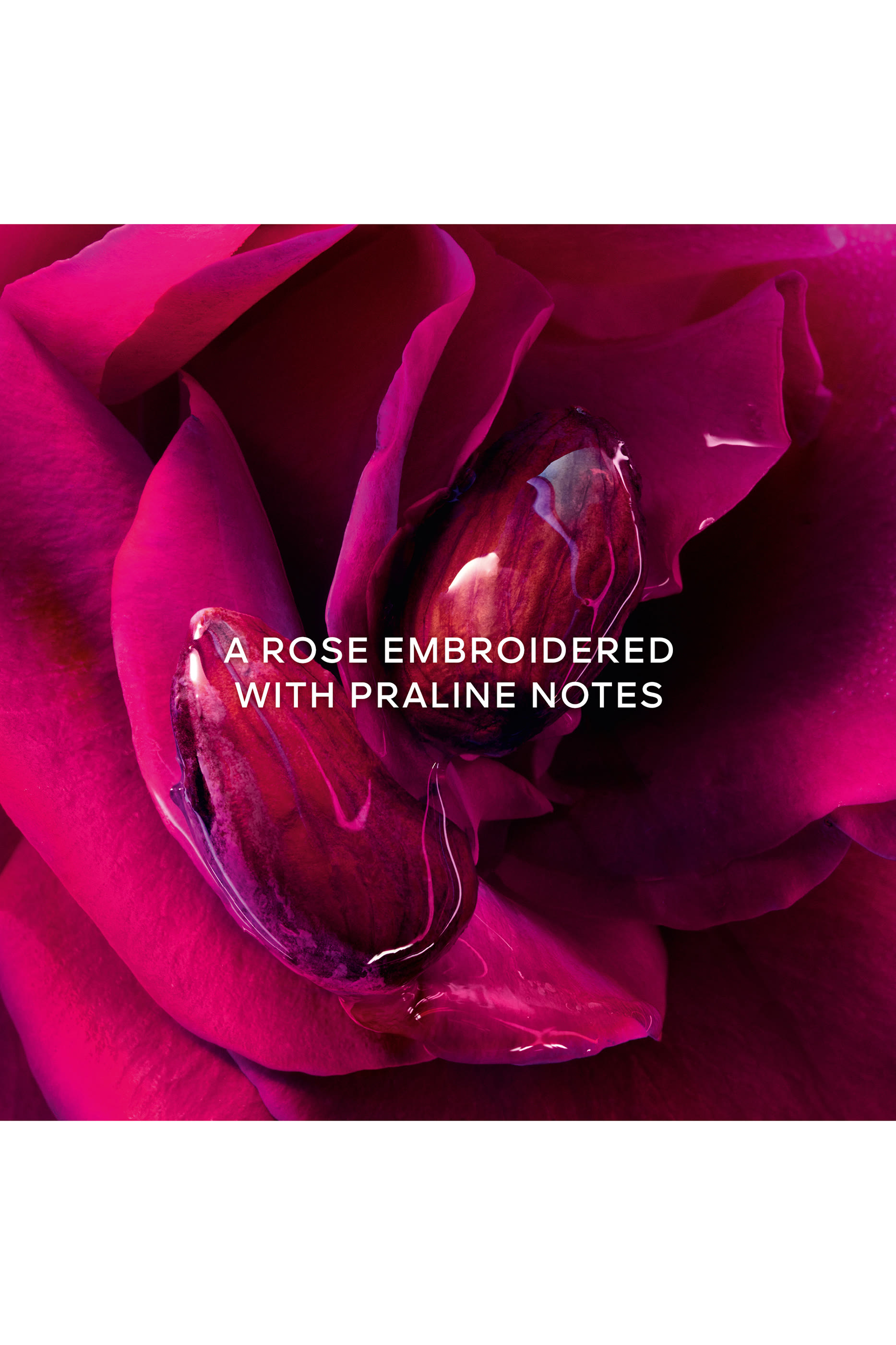 La Petite Robe Noire Parfum