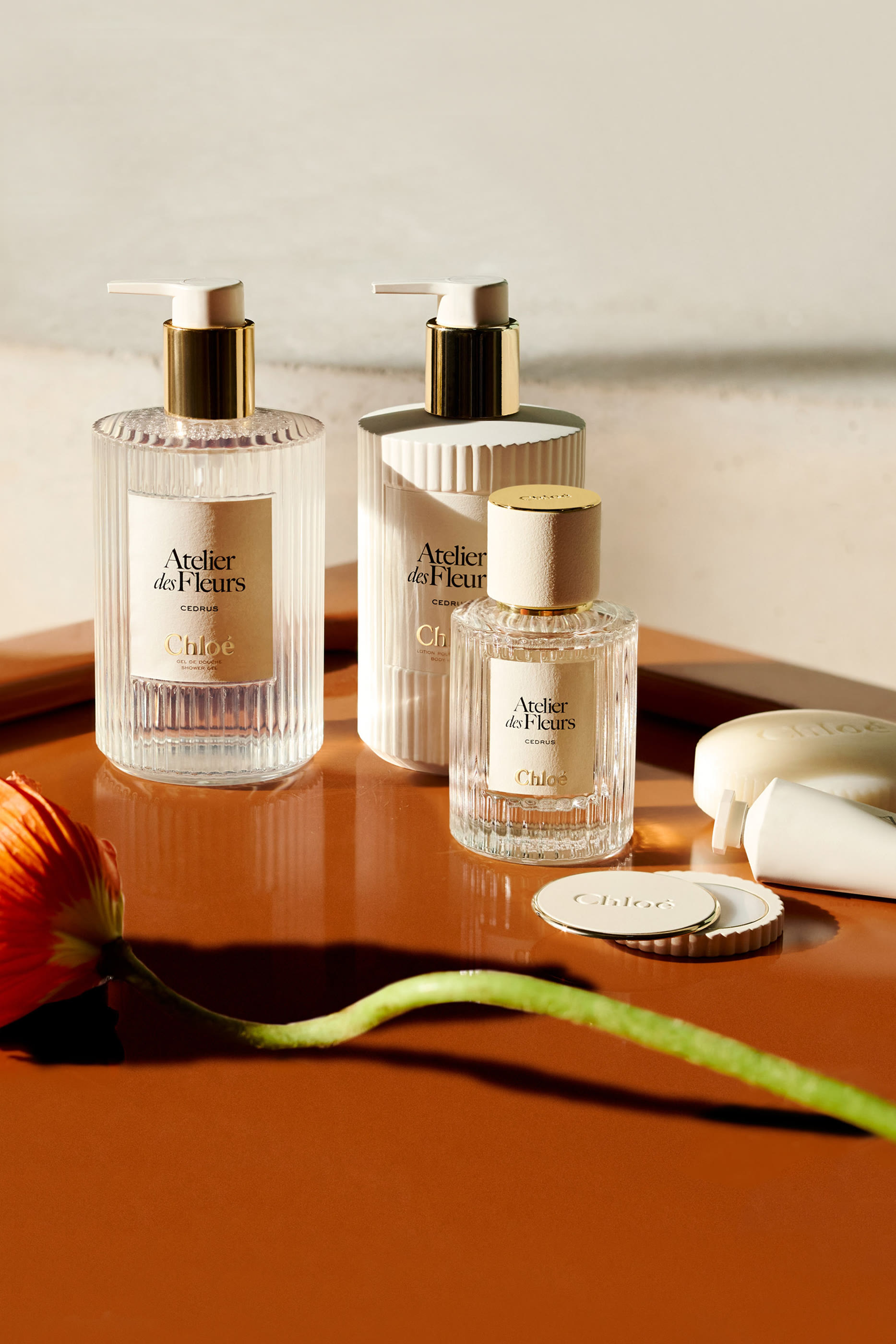 Atelier des Fleurs Cedrus Perfumed Body Lotion