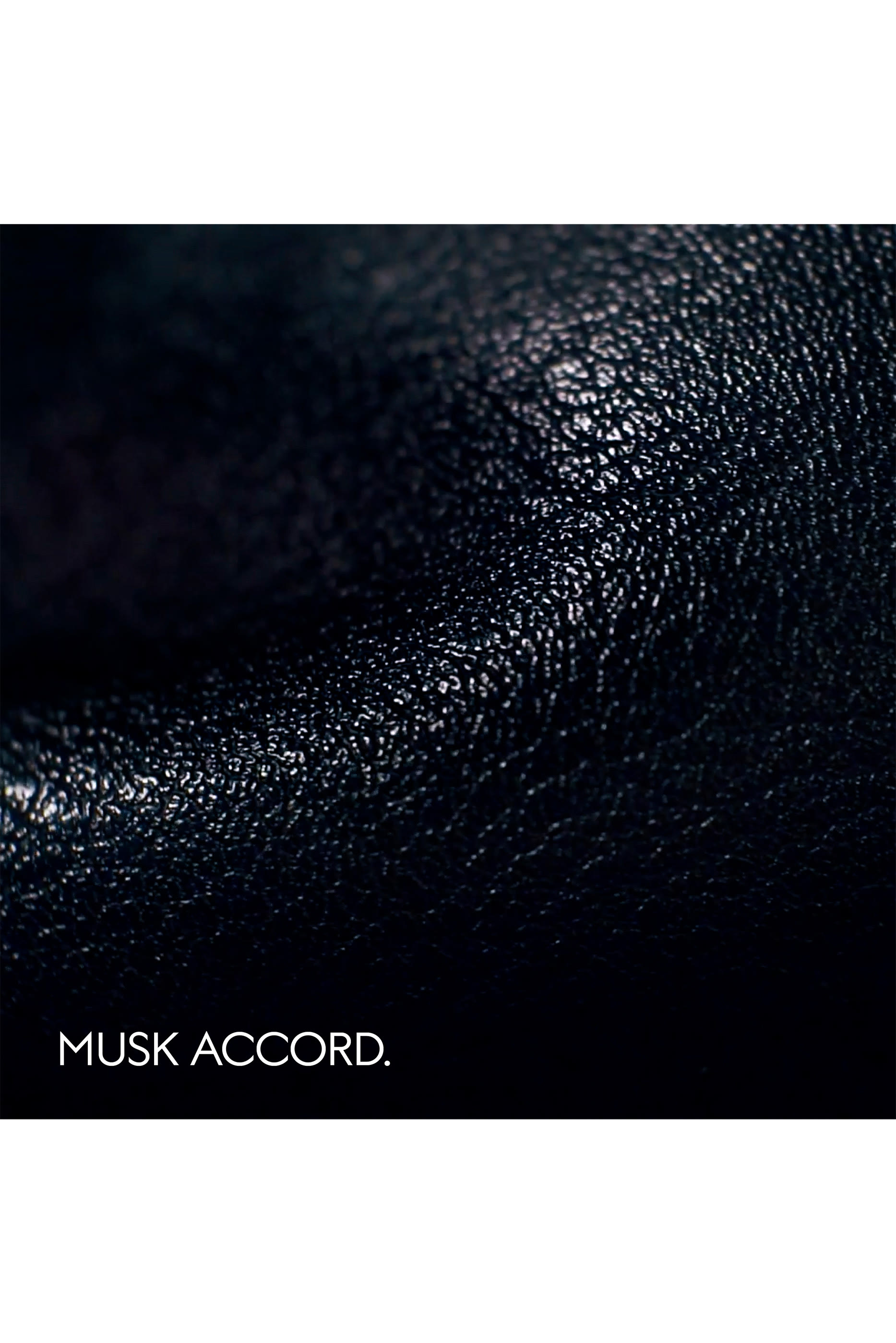 The Alchemist’s Garden, Muschio Mineralis Eau de Parfum 