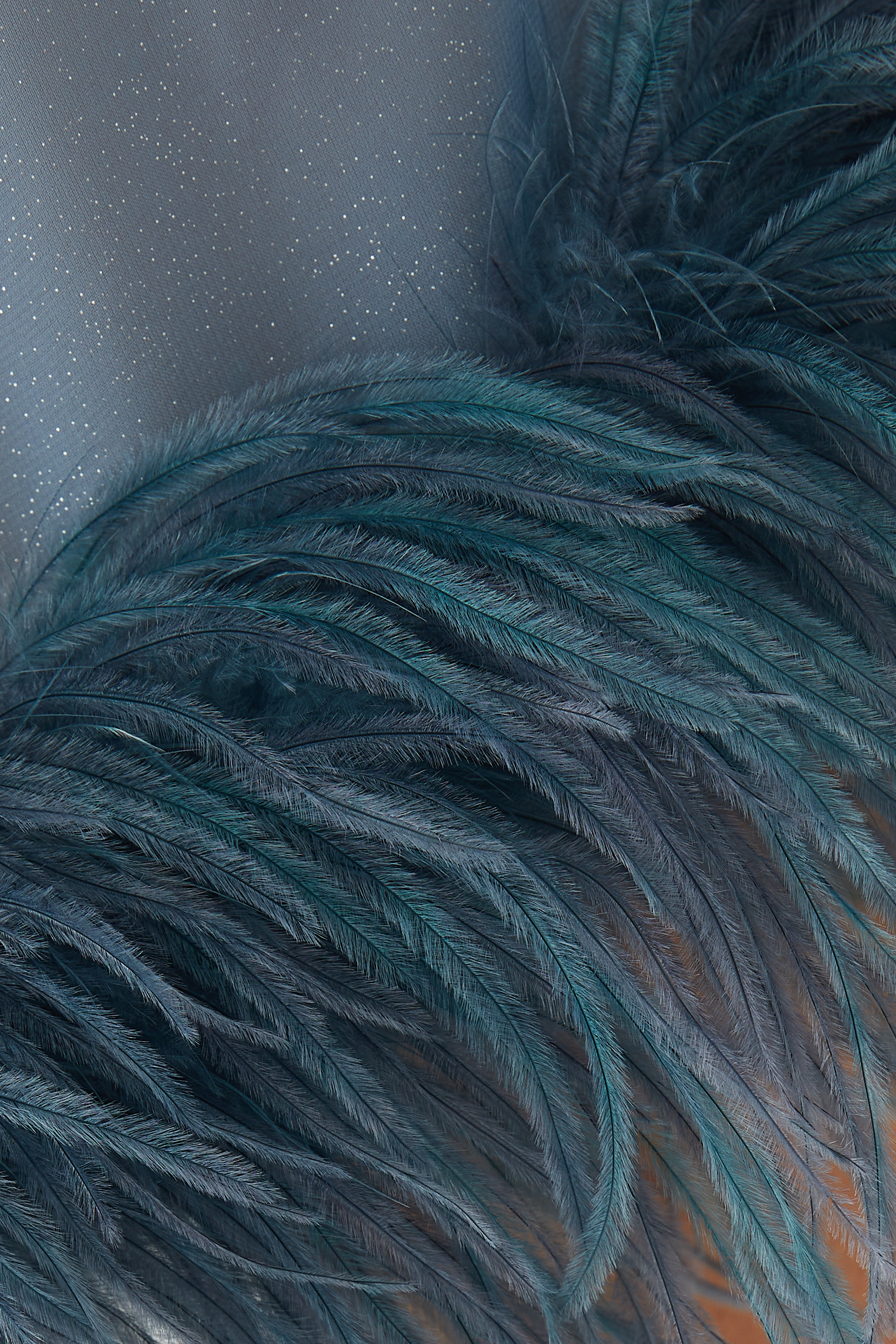 Plumage Babydoll Dress