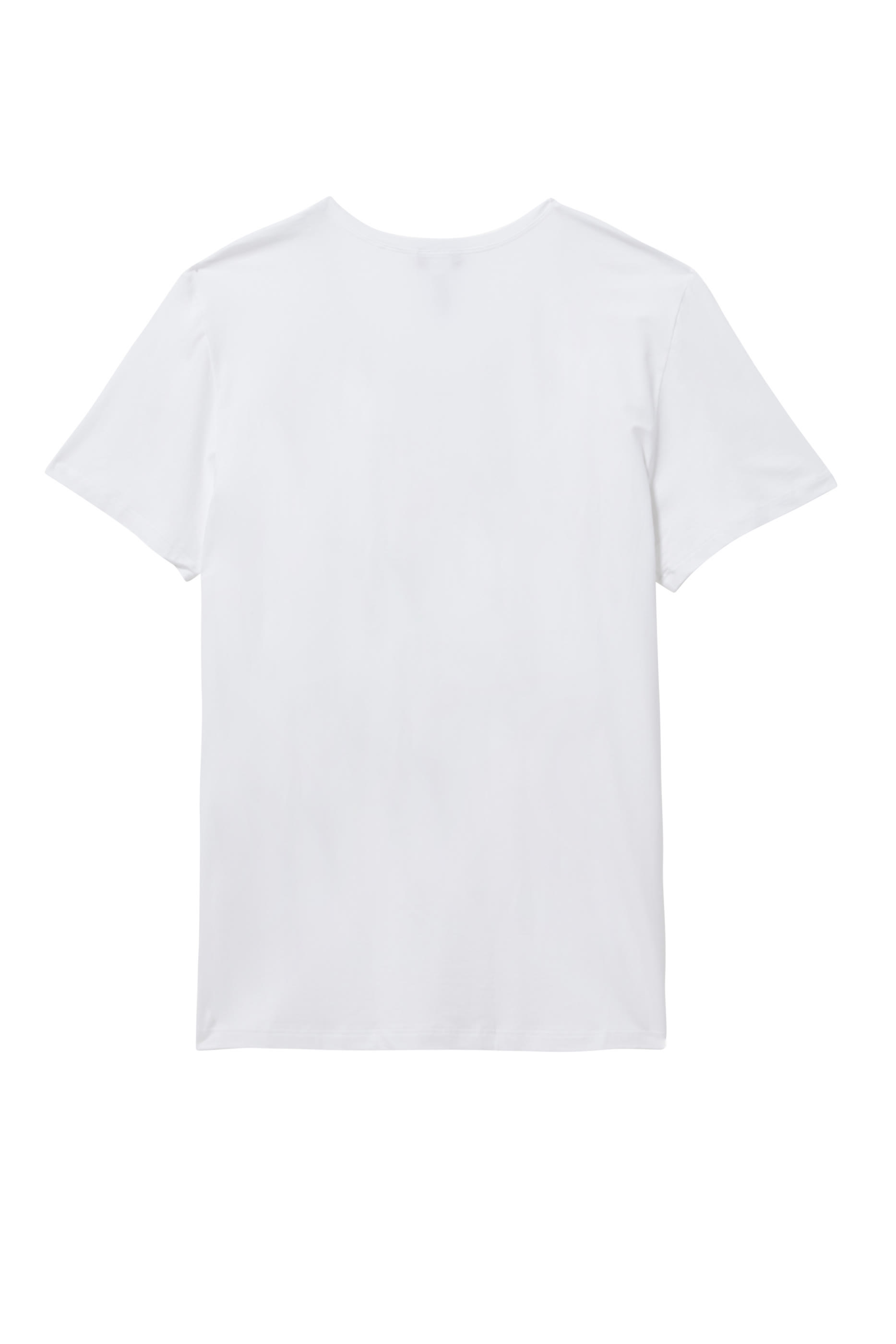 Superior Cotton T-Shirt