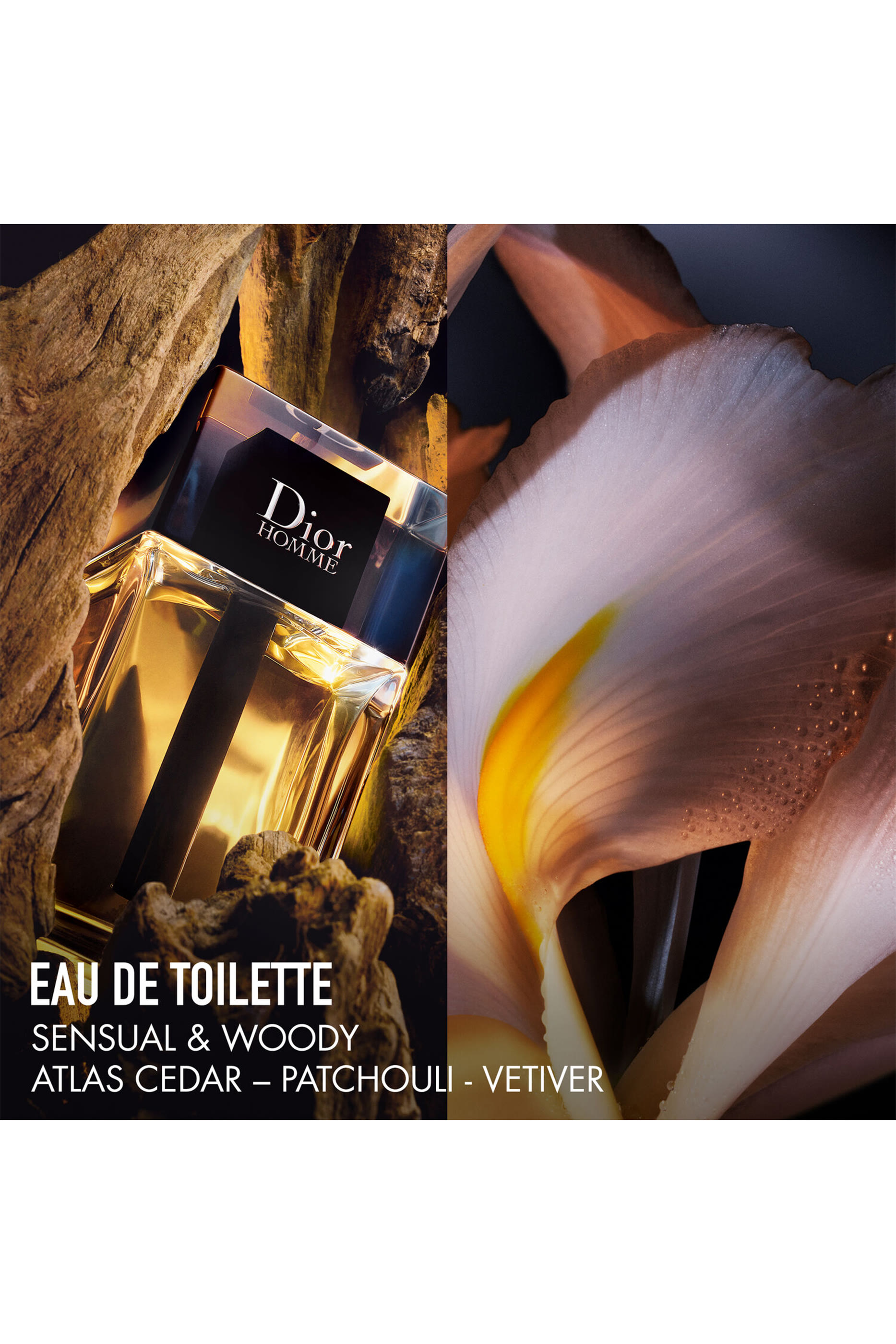 Homme Eau de Toilette Gift Set