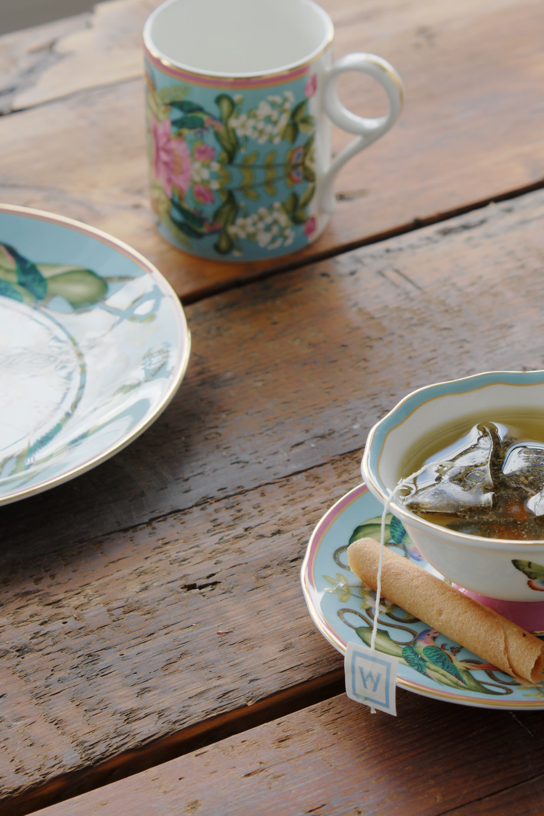 Wonderlust Menagerie Mug