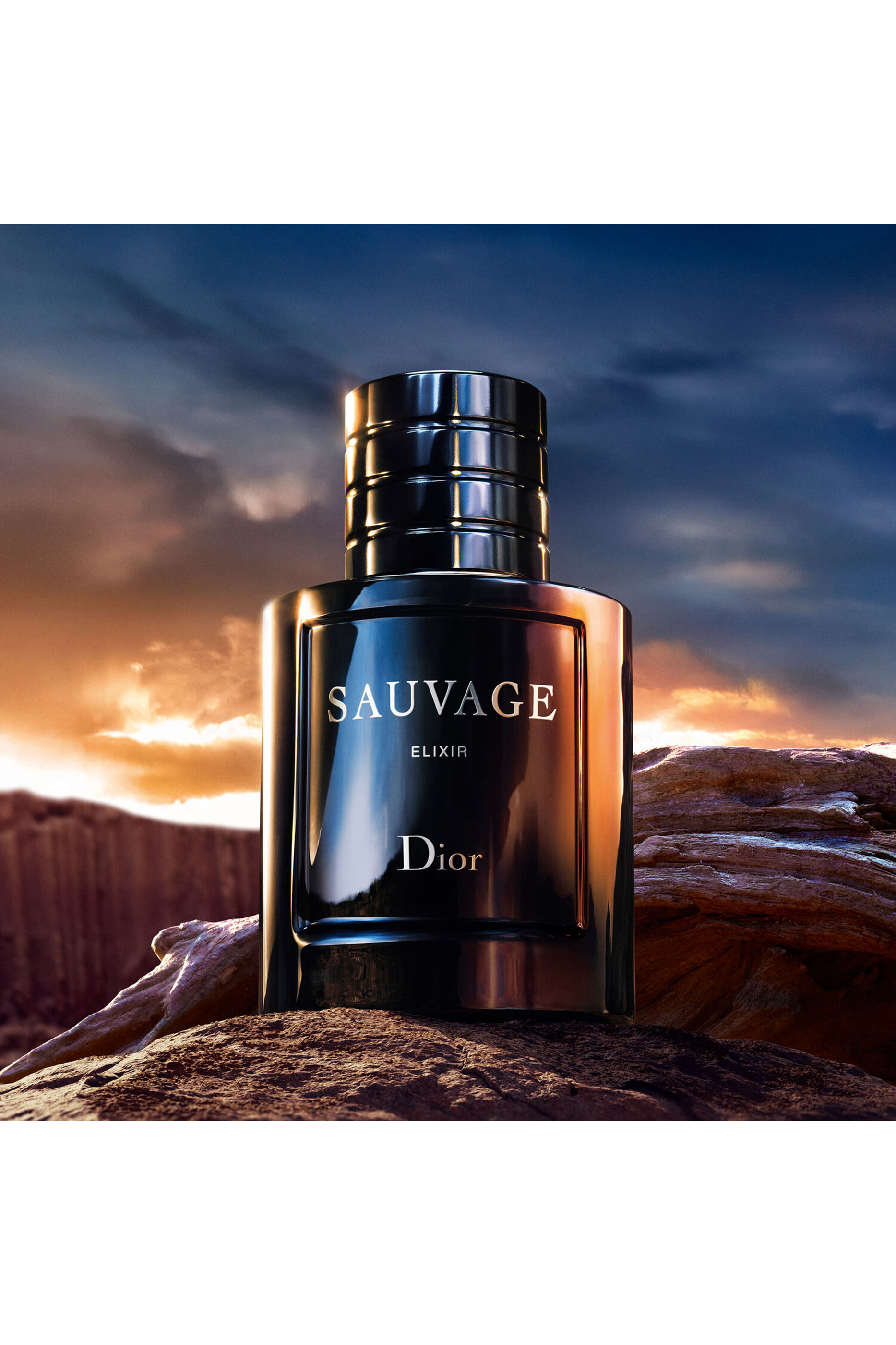 Sauvage Elixir Spray