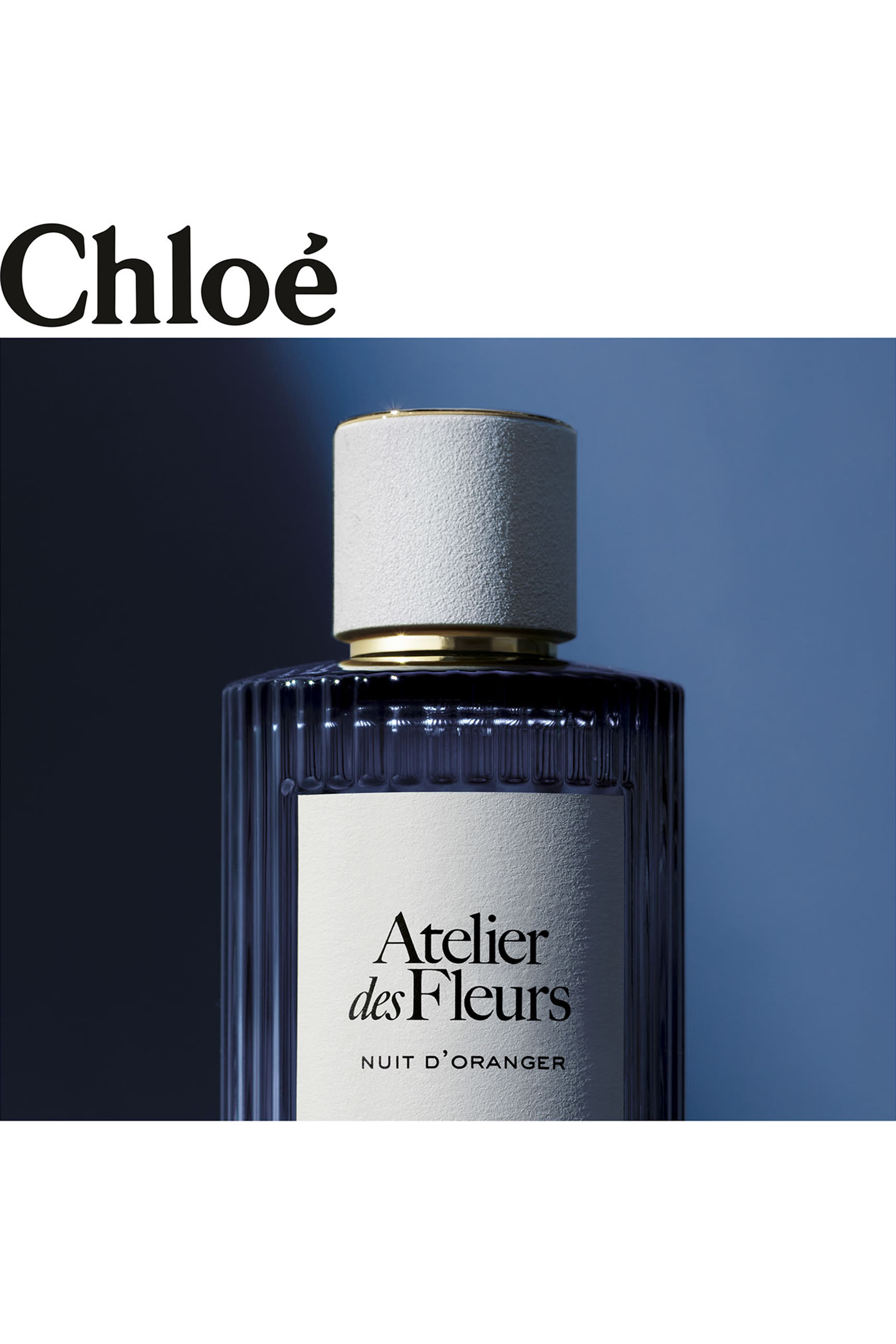 Atelier Des Fleurs Nuit D’oranger