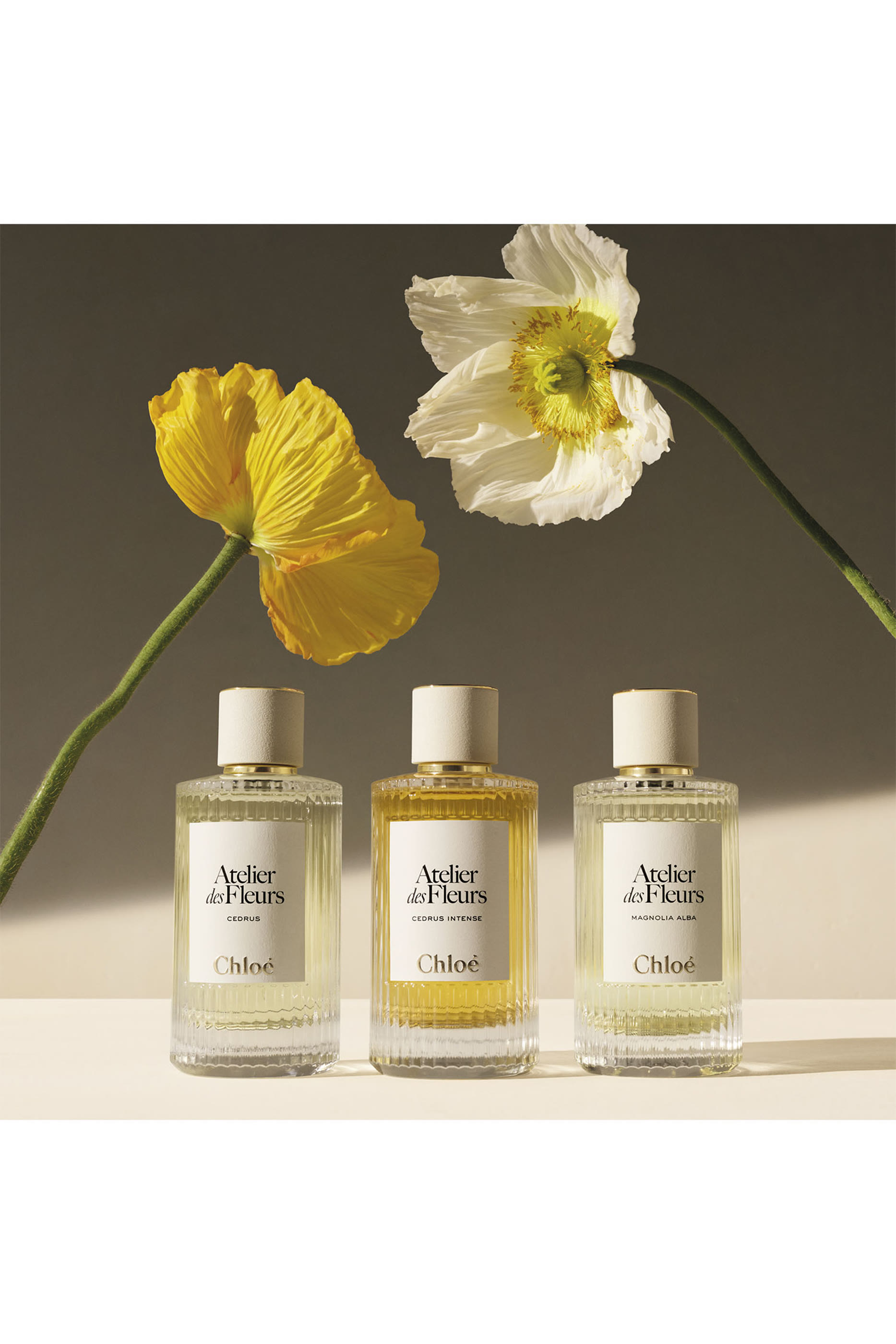 Atelier Des Fleurs Verbena Eau de Parfum