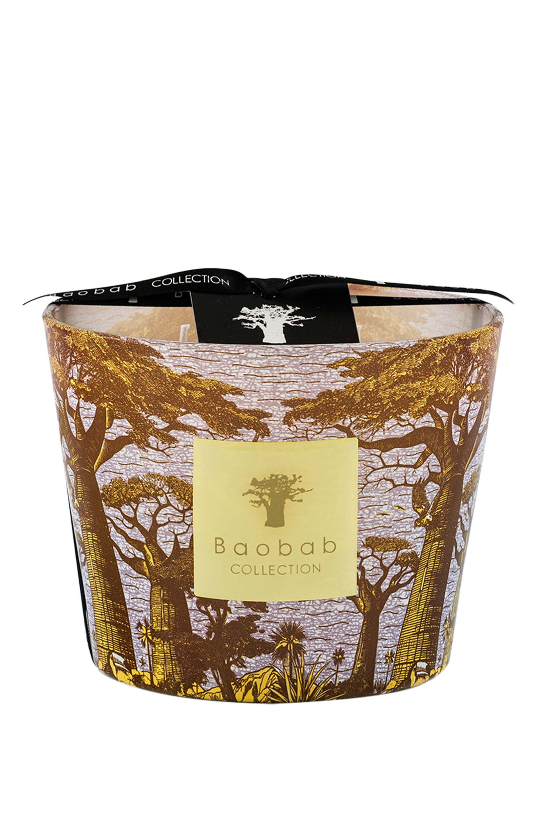 Max 35 Sacred Trees Cocody Candle