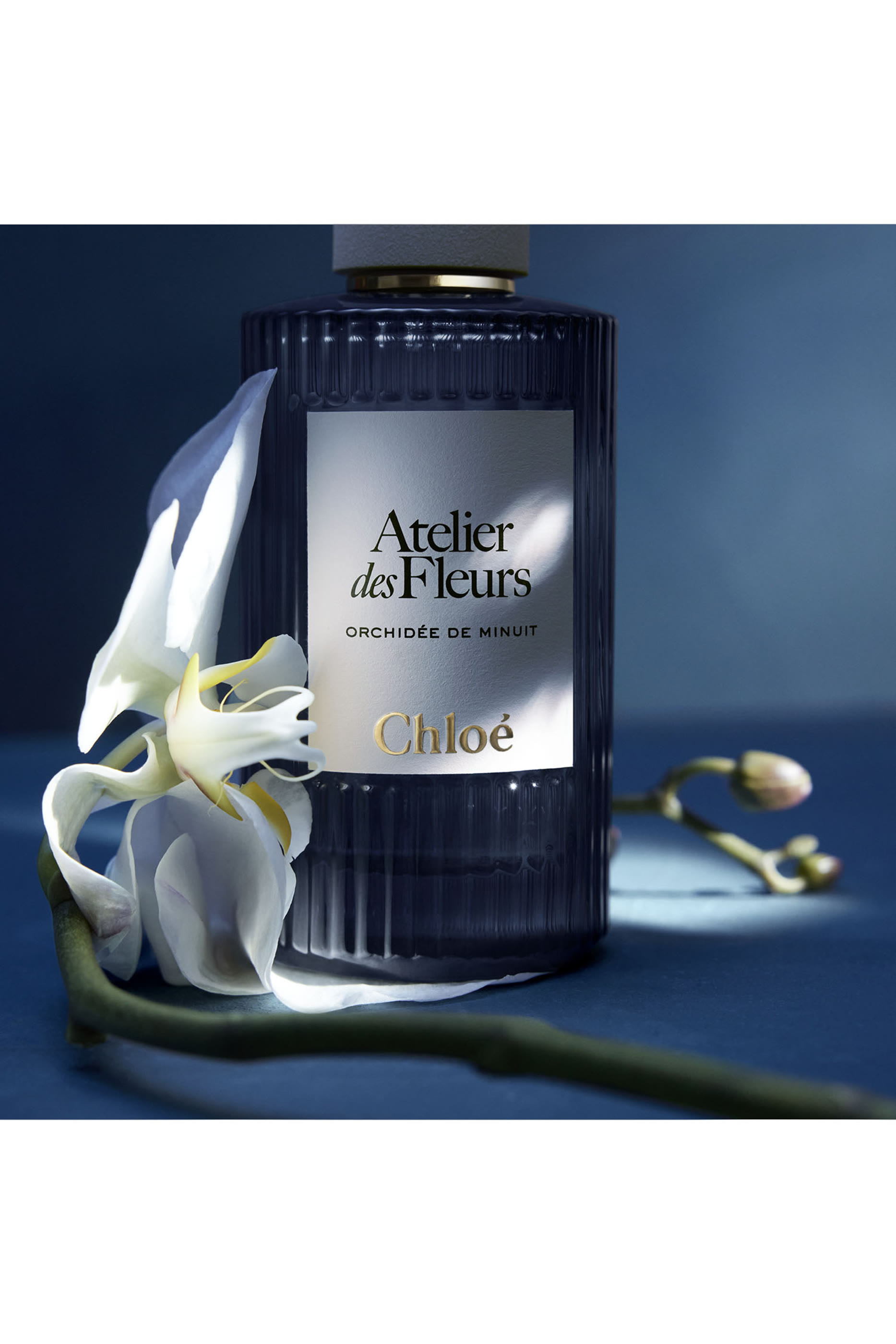 Atelier des Fleurs Orchid&eacute;e de Minuit Eau de Parfum