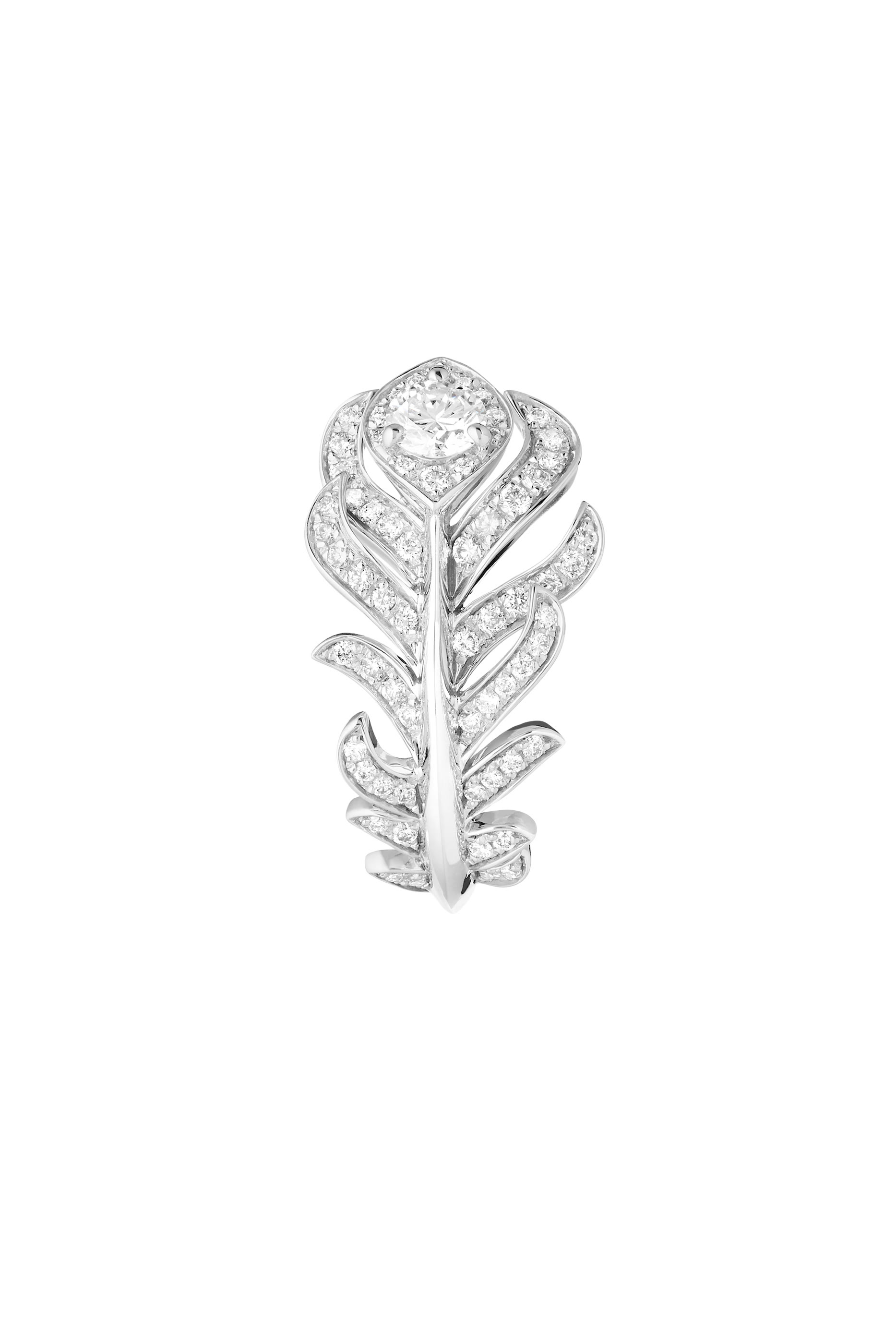 Plume de Paon Ring, 18k White Gold & Diamonds