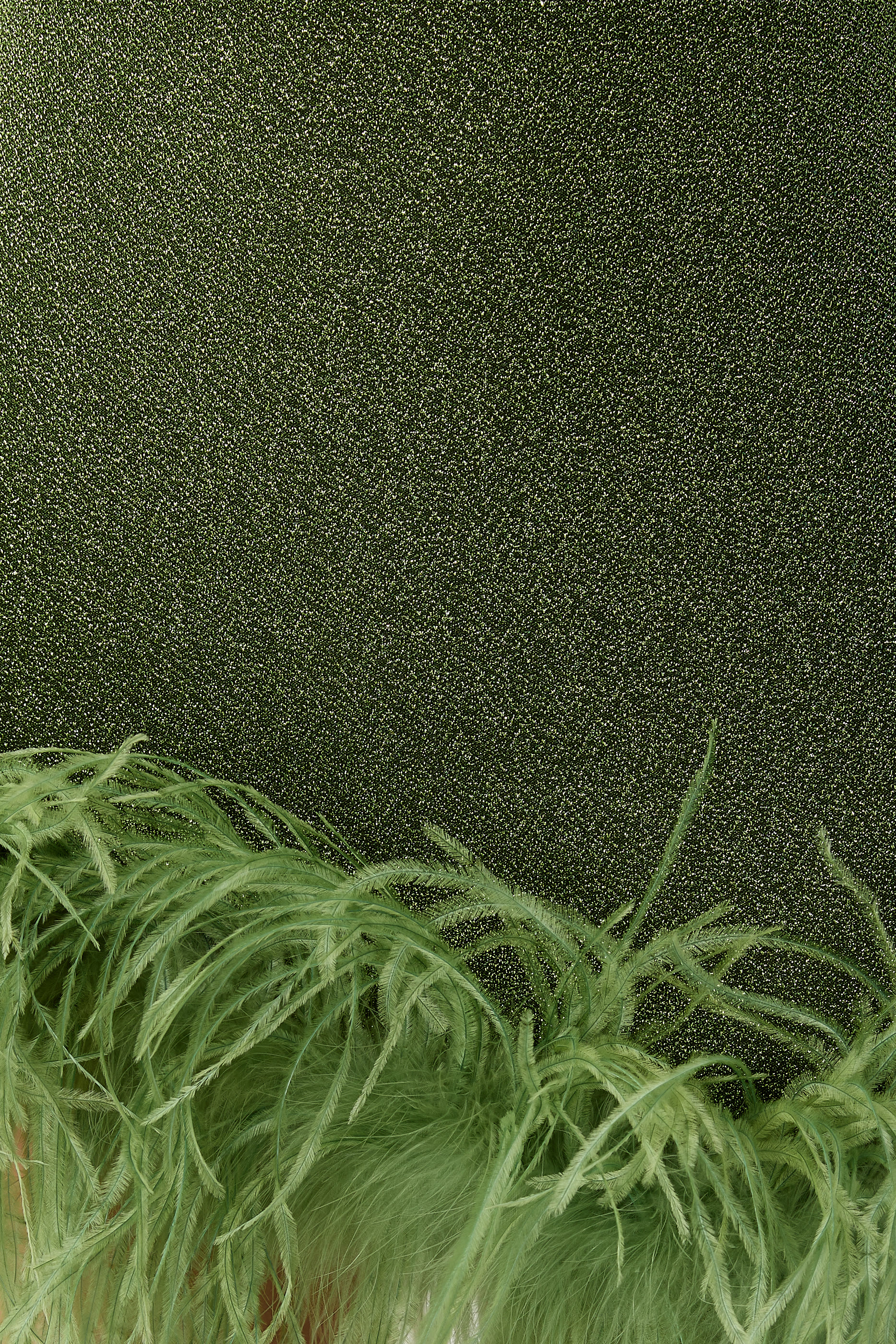 Lumi&egrave;re Plumage Mini Dress