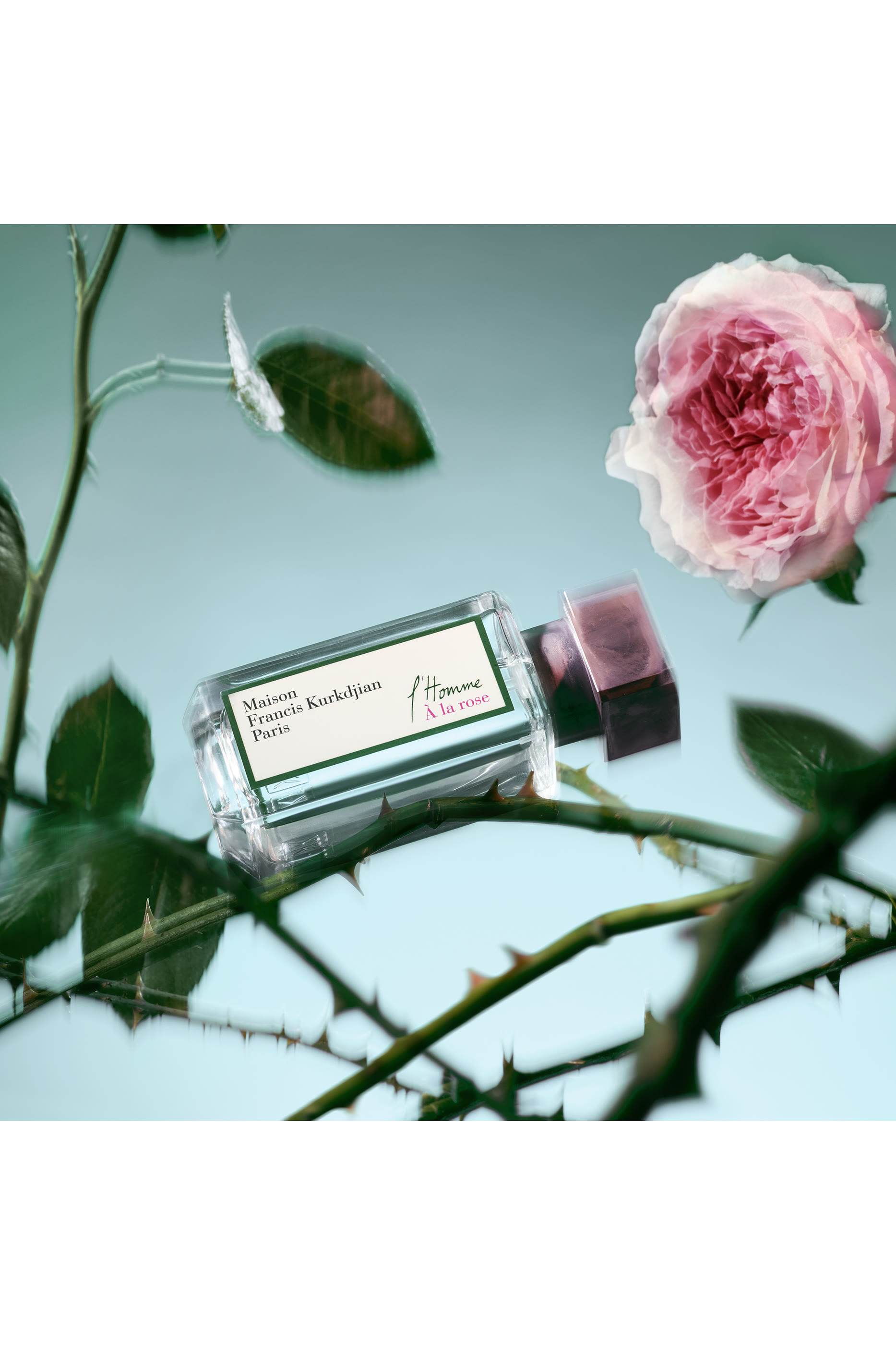 L'Homme &Agrave; la Rose Eau de Parfum