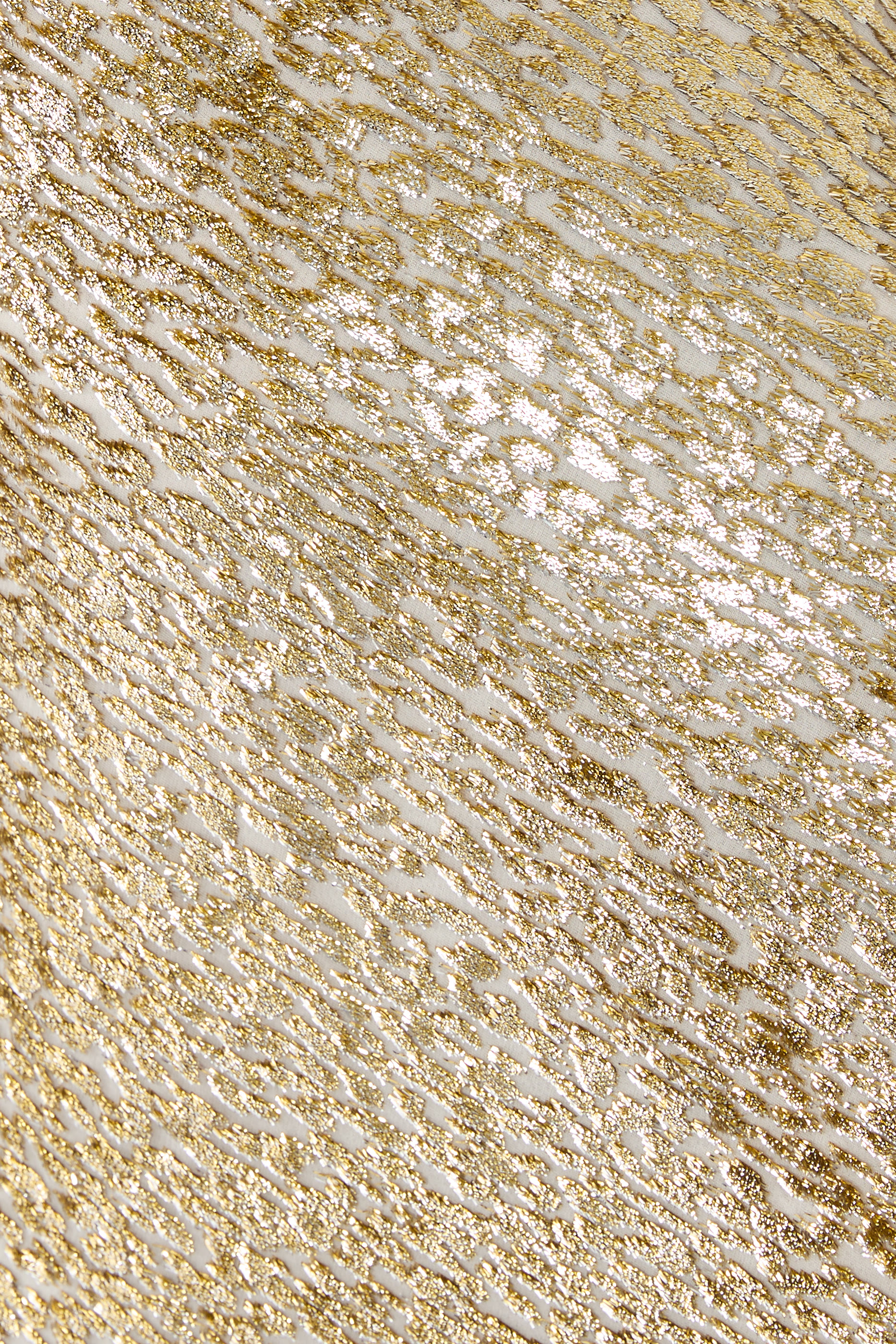 Fil Coupé Maxi Dress