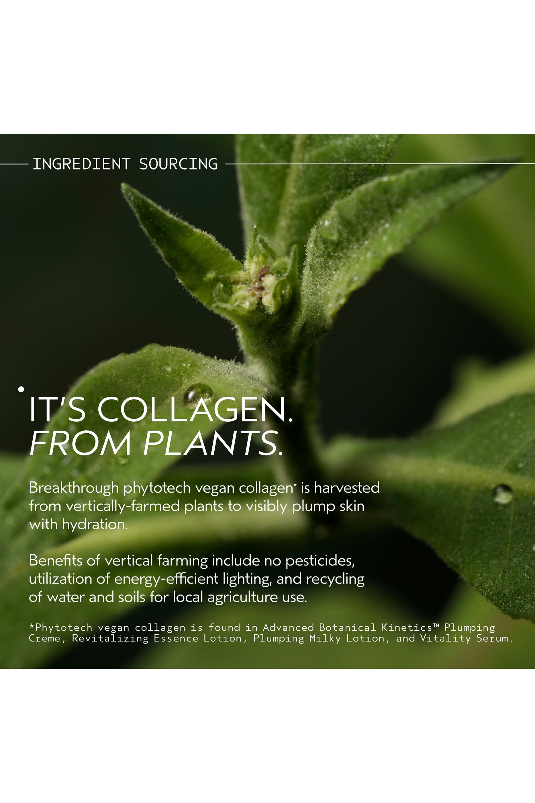 Advanced Botanical Kinetics&trade; Plumping Milky Lotion 