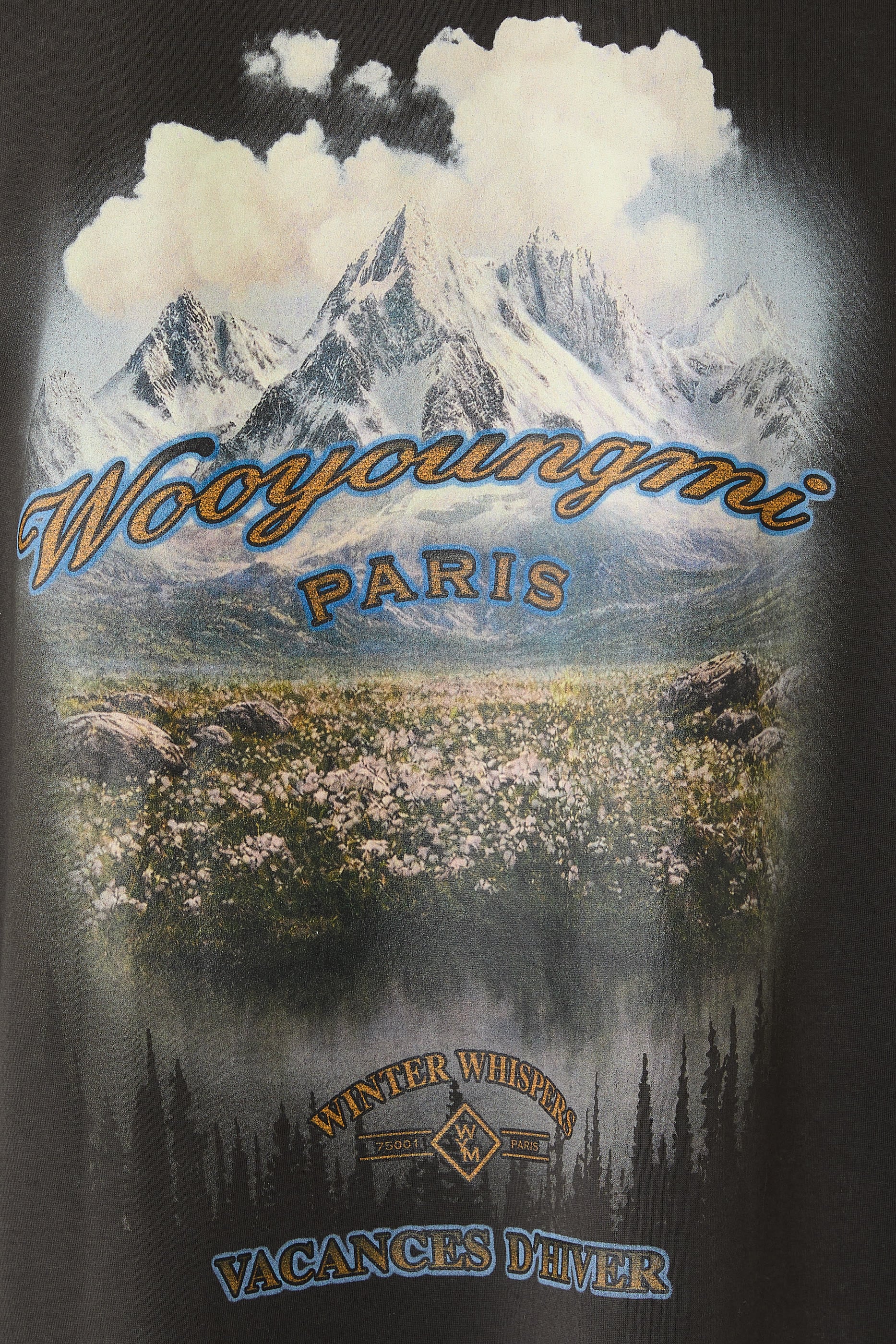 Scenery Graphic T-Shirt