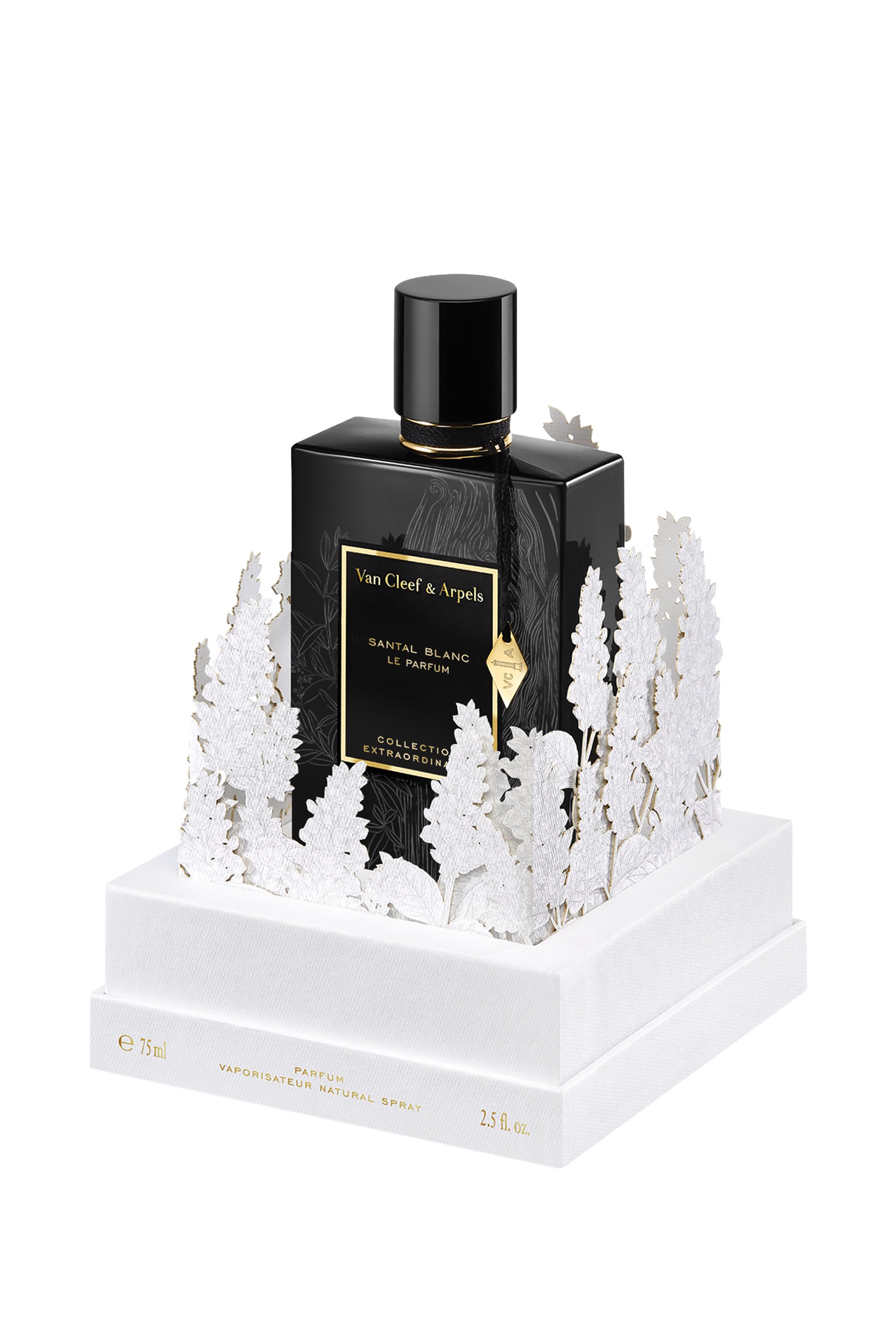 Santal Blanc Eau de Parfum