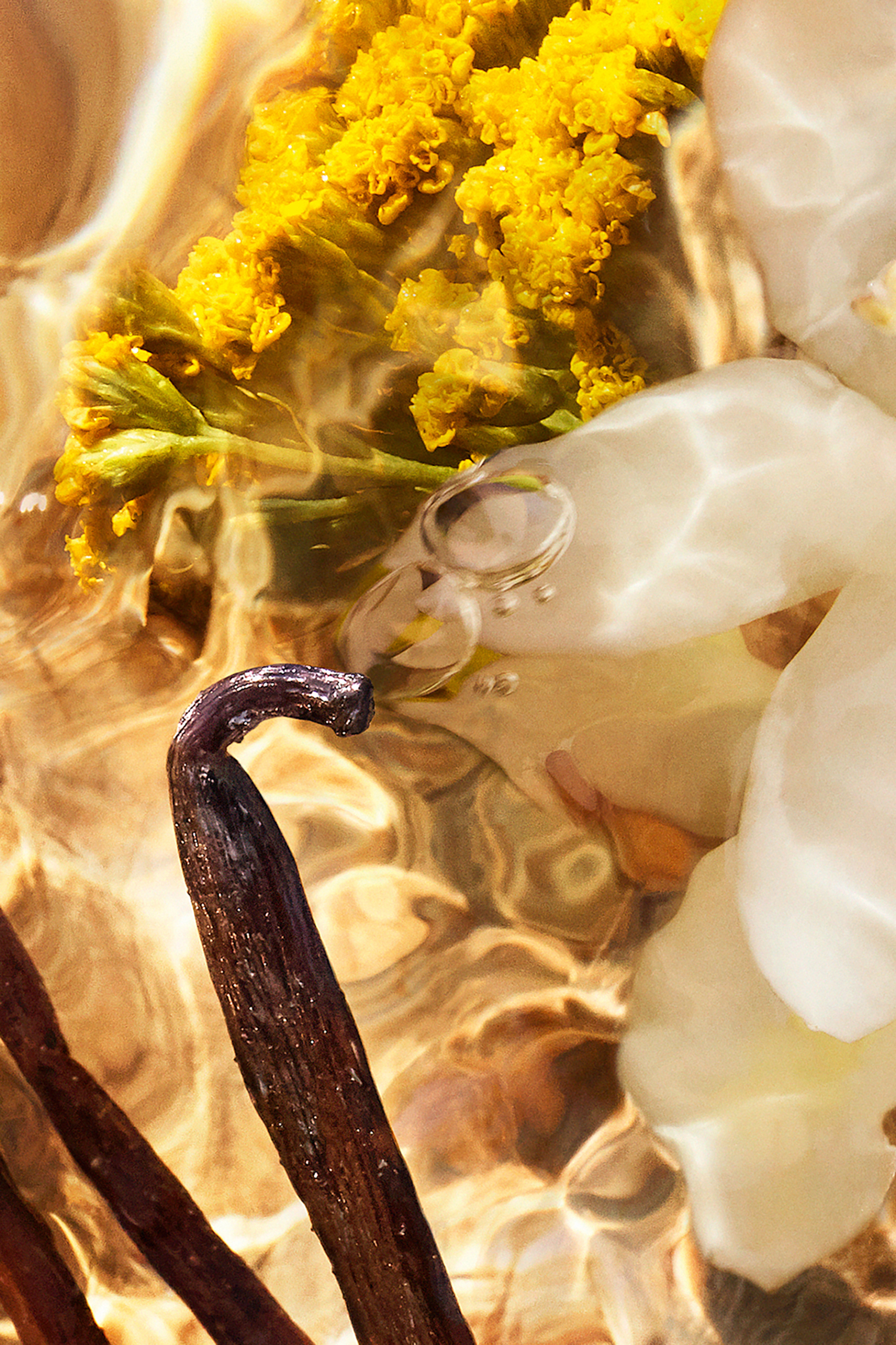 Aqua Allegoria Forte Bosca Vanilla Eau de Parfum