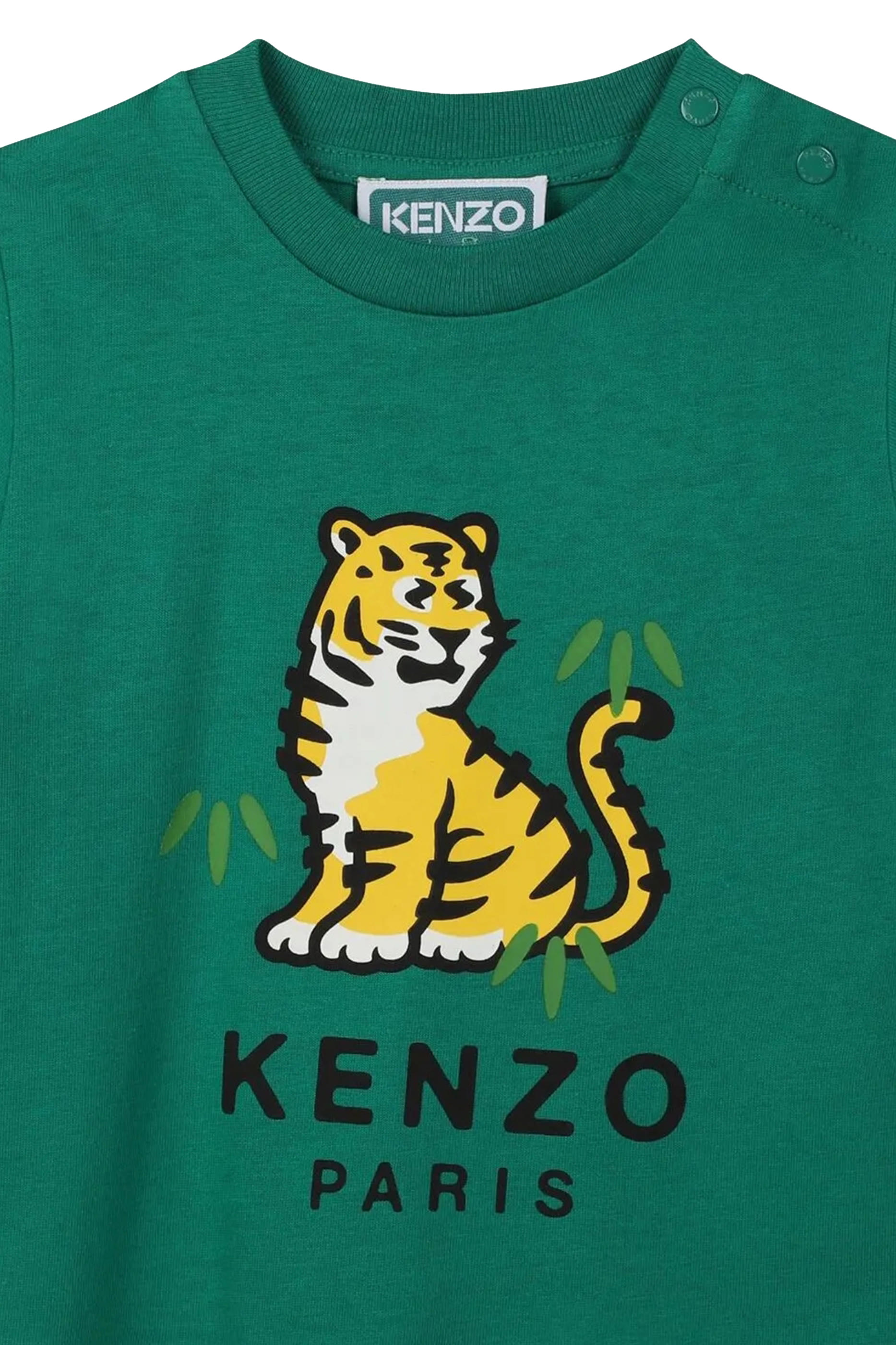 Kids Cotton T-Shirt & Shorts Set