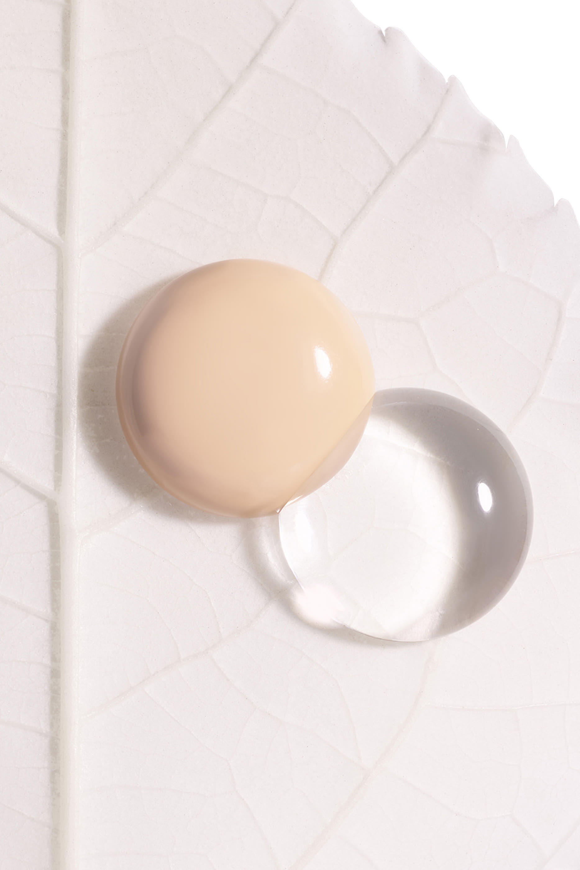 Phyto-Blanc Le Cushion Refill