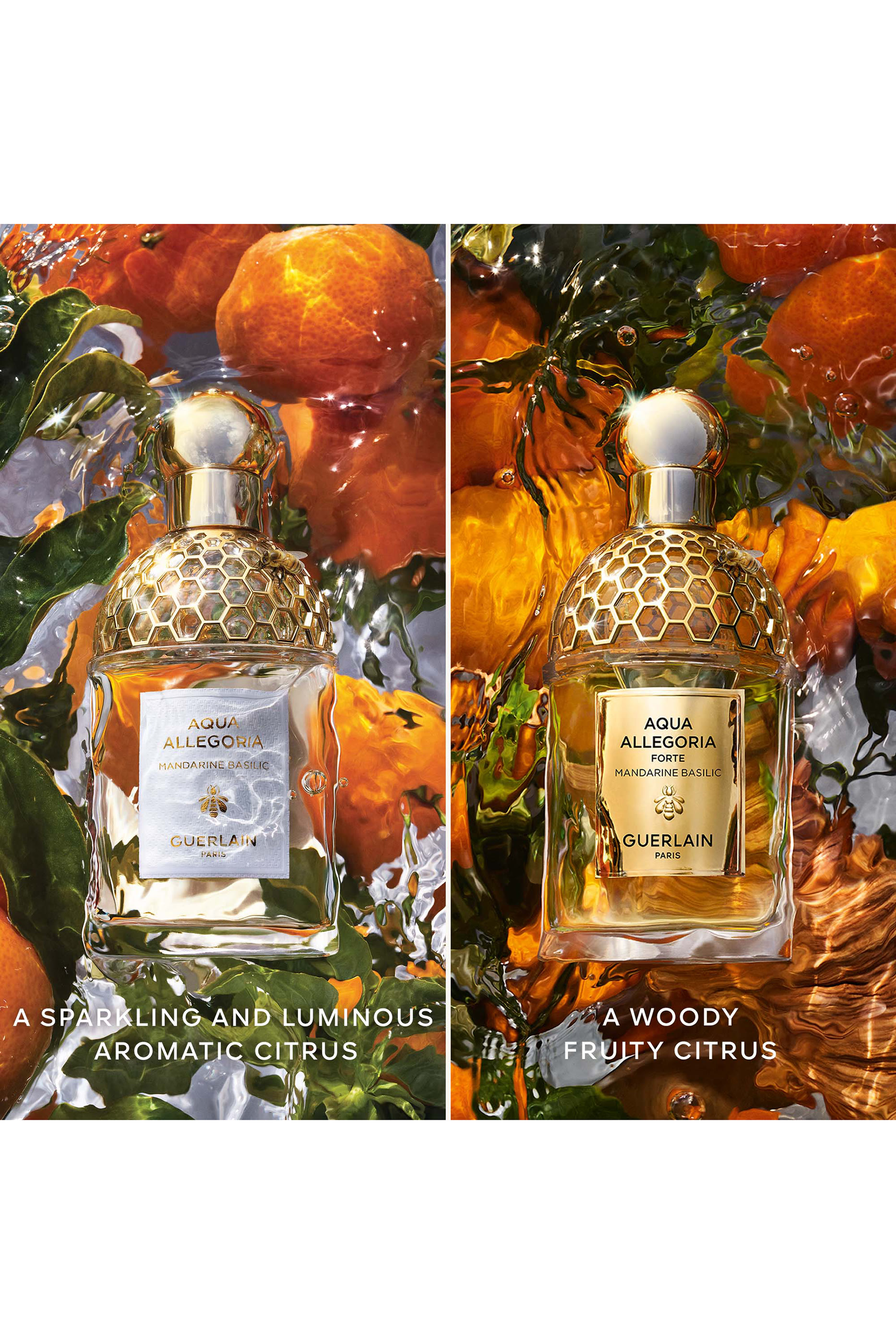 Mandarine Basilic Forte Eau de Parfum
