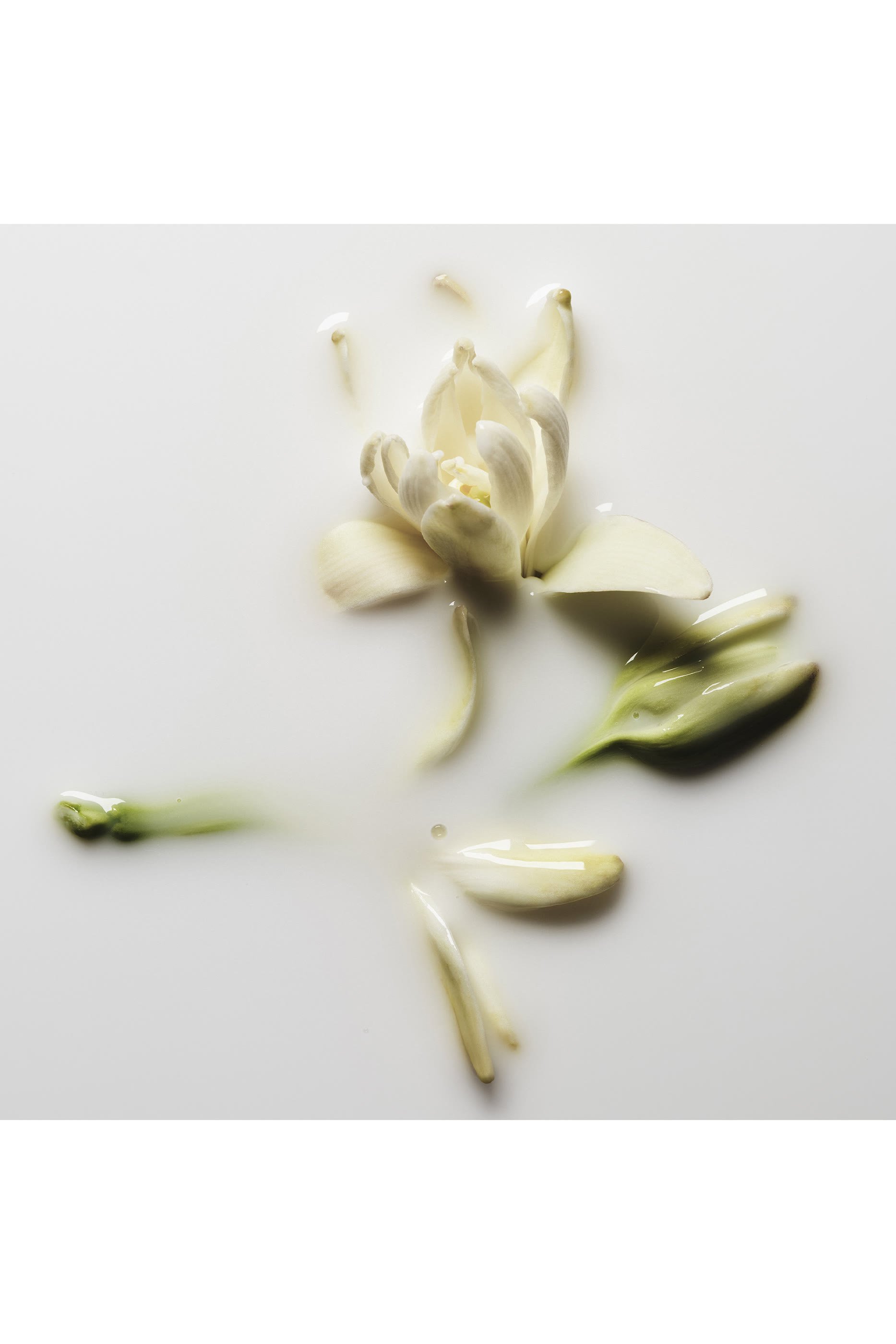 Good Girl Gone Bad Body Lotion &ndash; Refillable