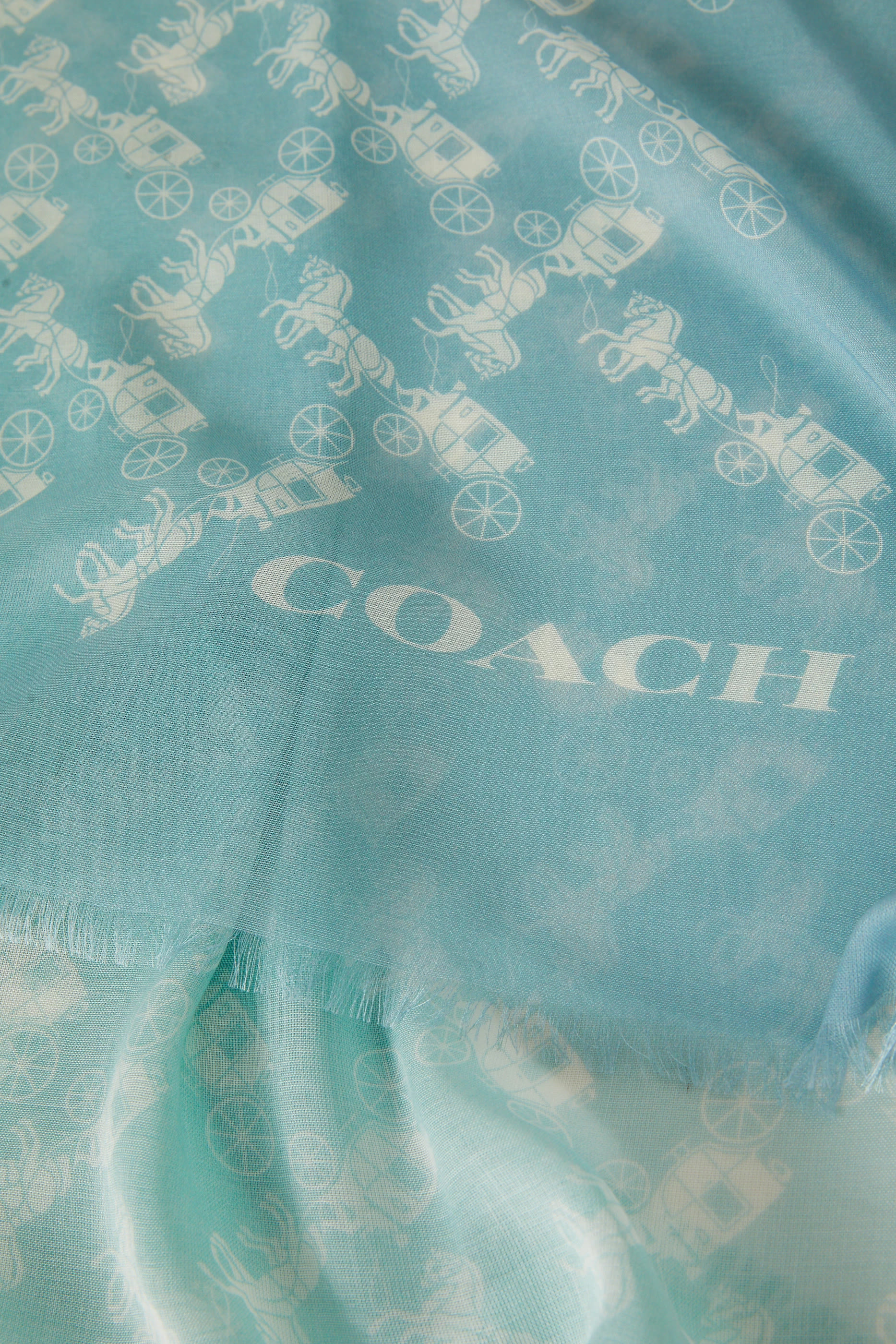 Horse and Carriage Wool-Blend Scarf