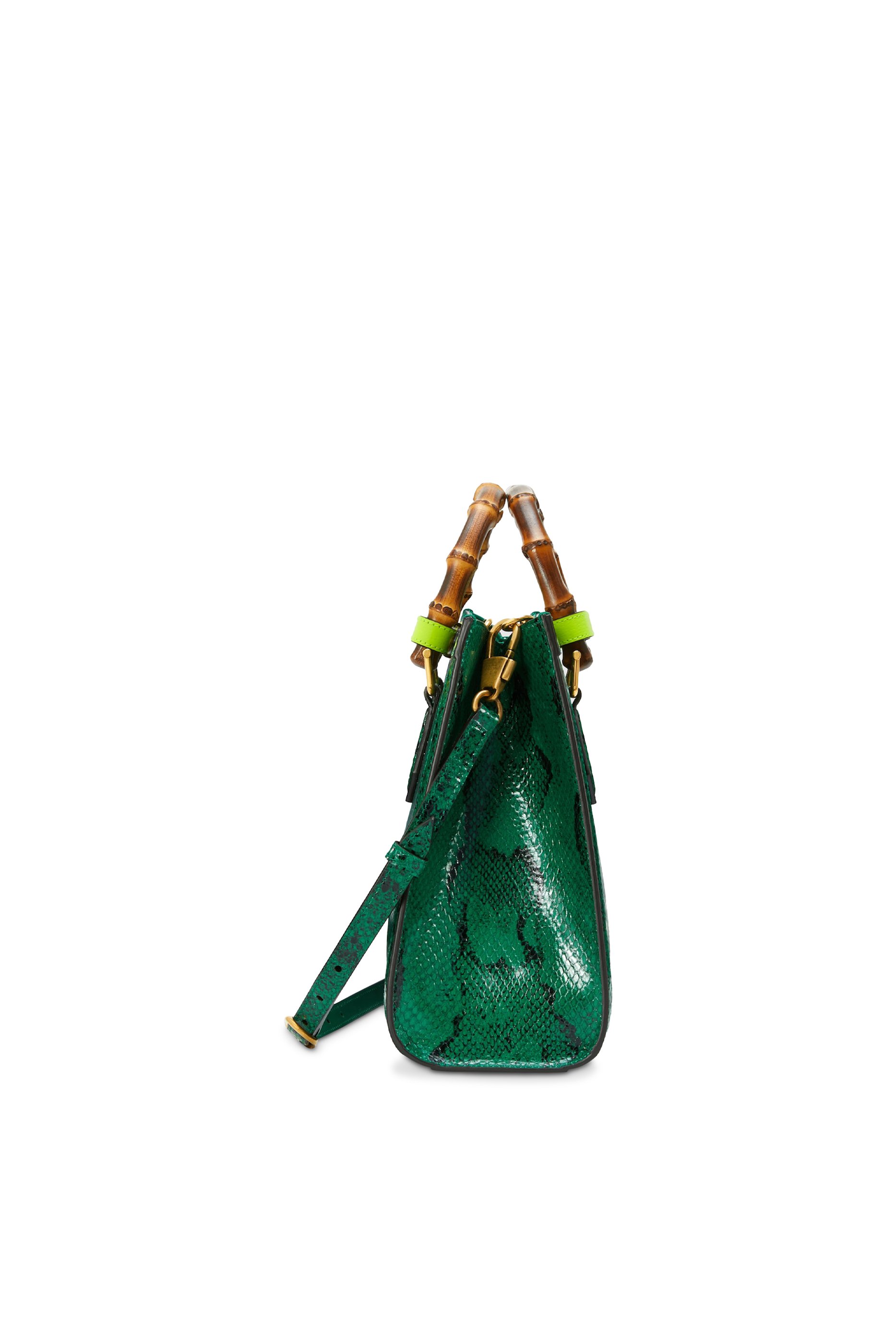 Diana Small Python Handbag