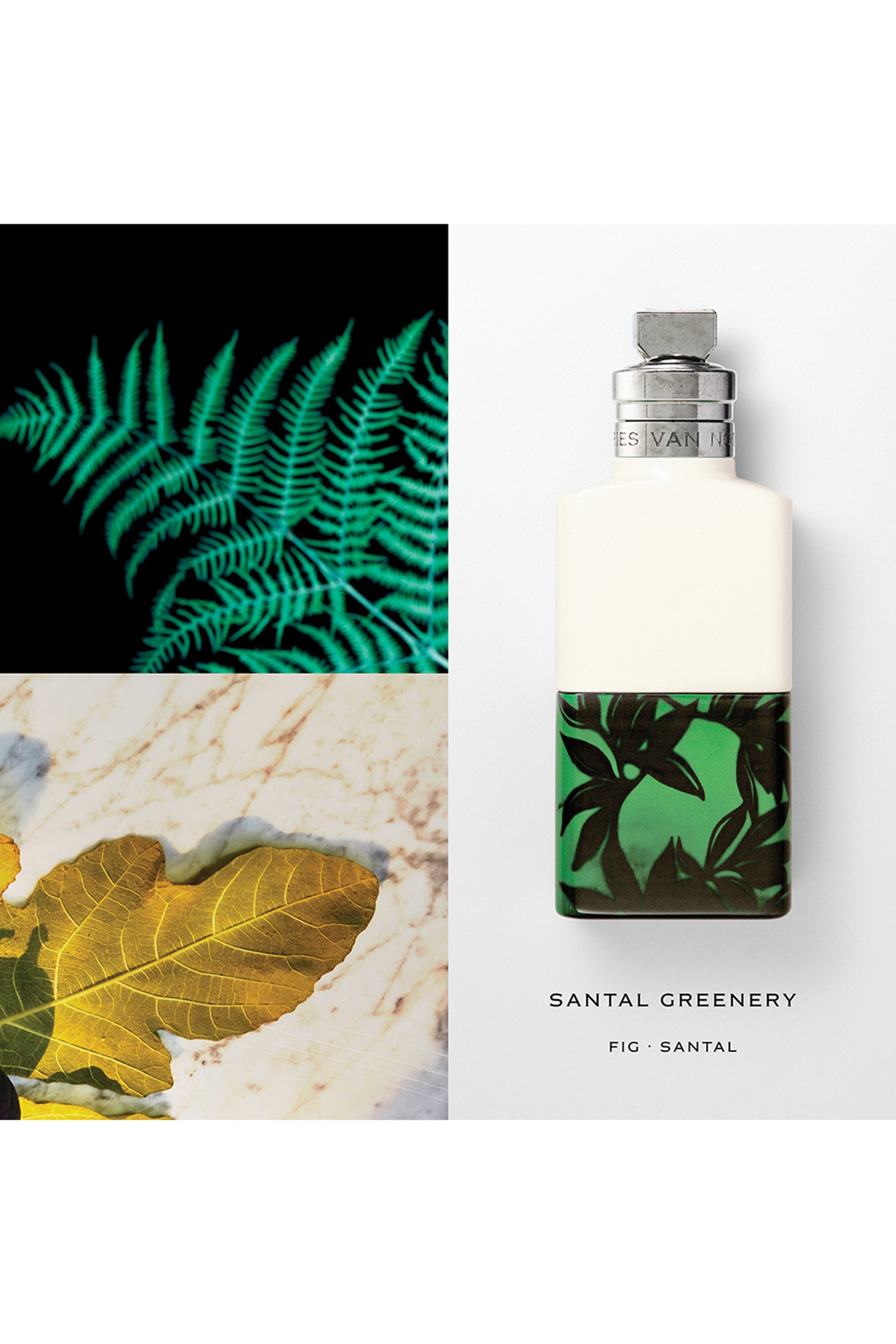 Santal Greenery Eau de Parfum