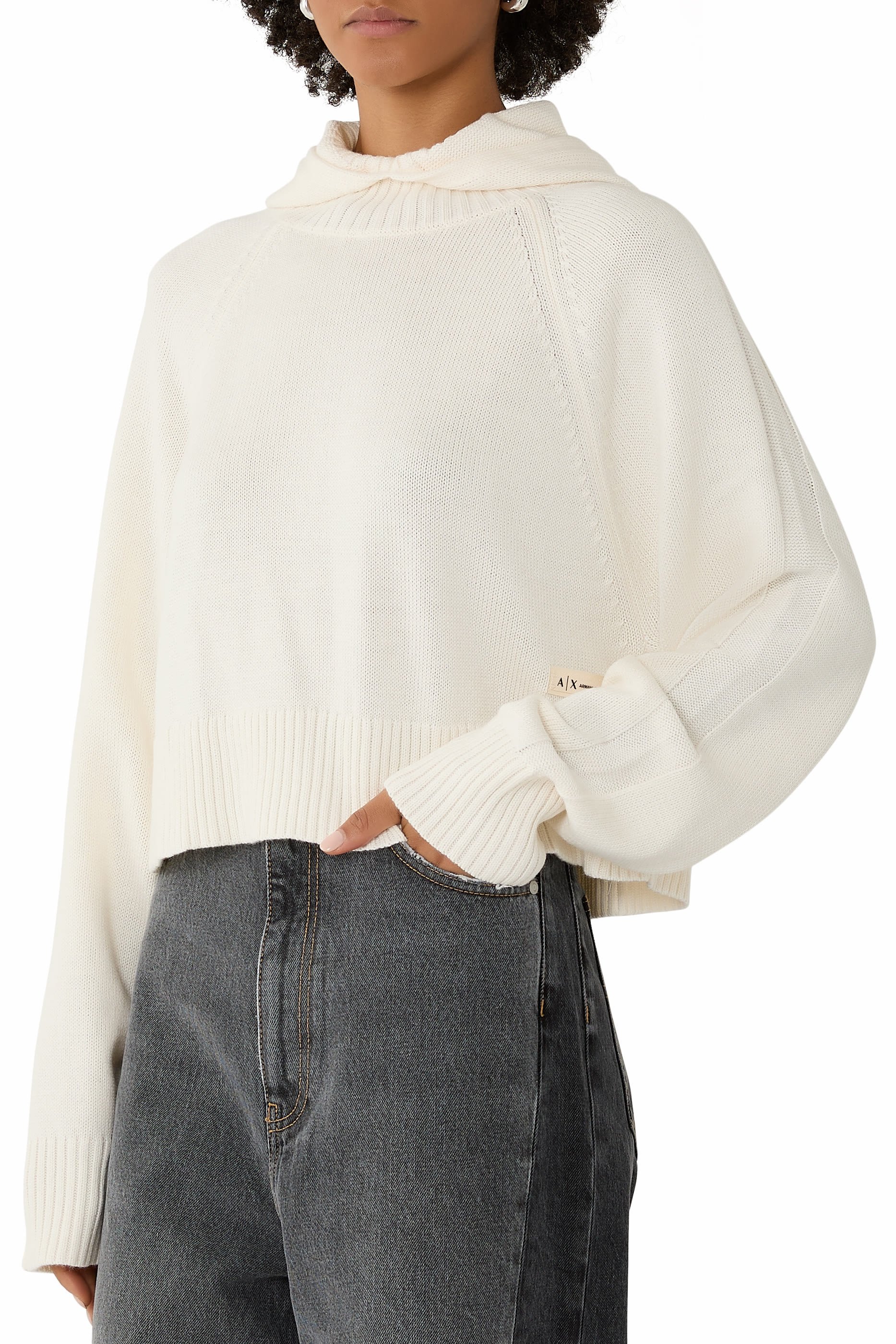 Cozy Lab Hoodie Pullover