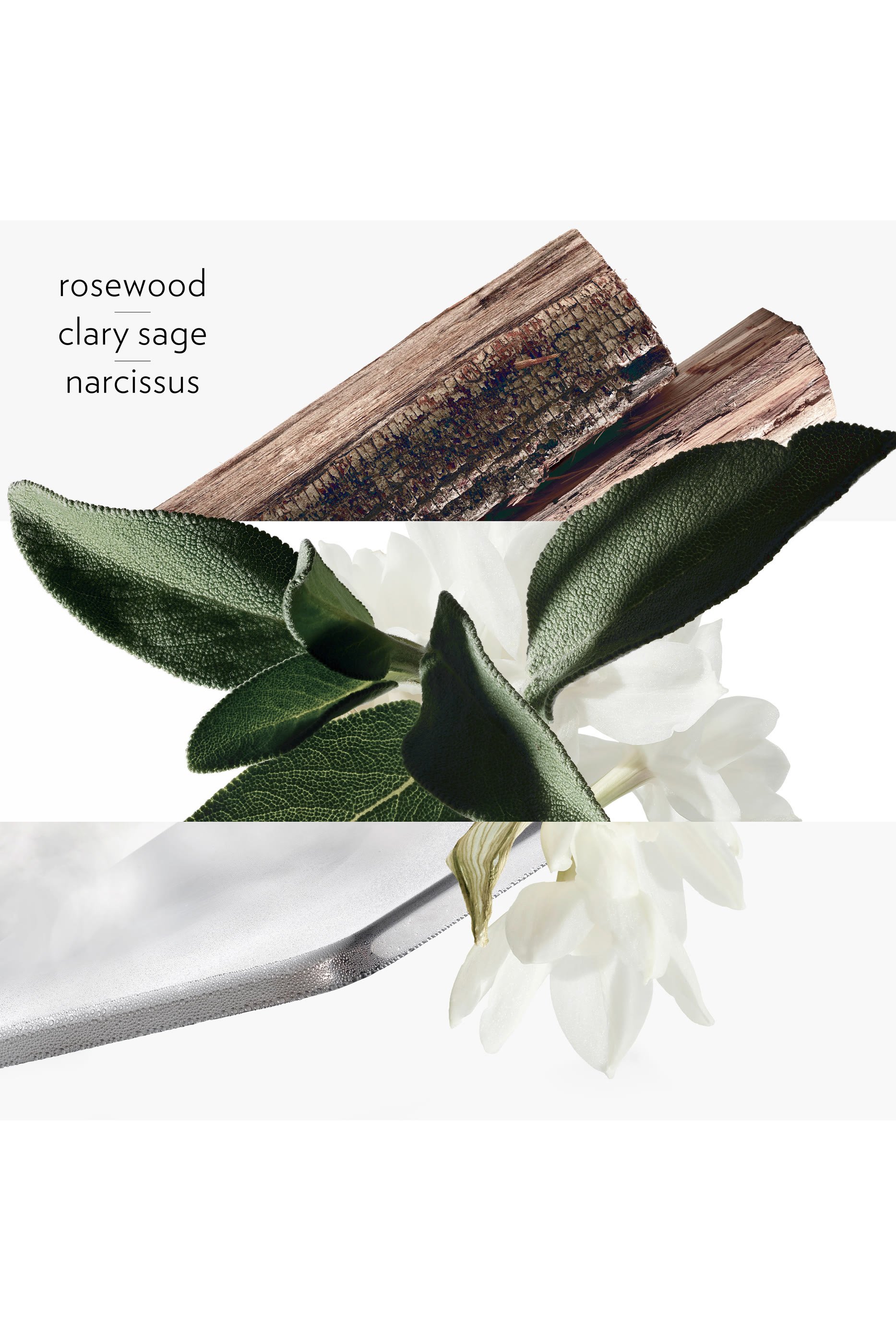 H24, Eau de Toilette