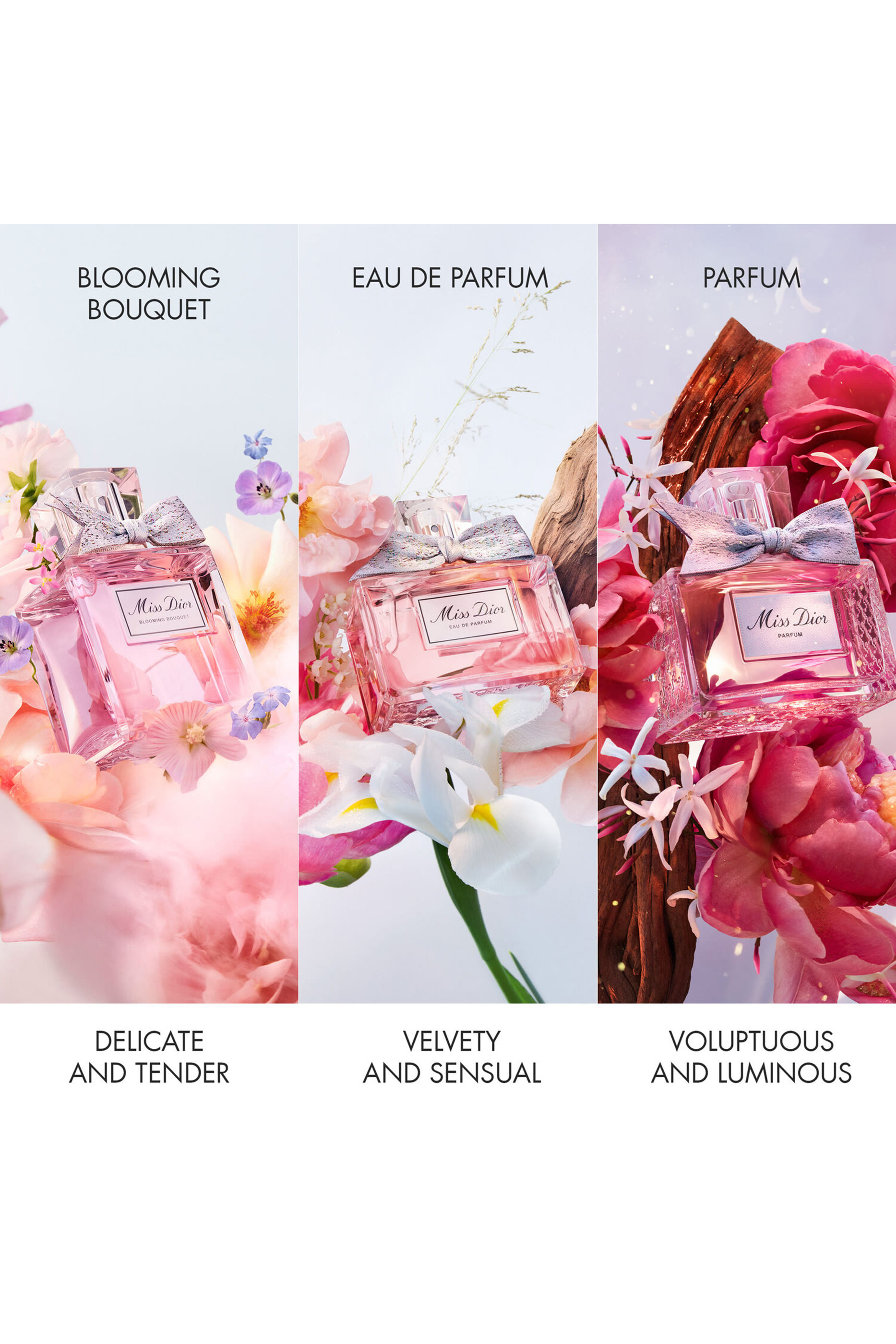 Buy Dior Miss Dior Blooming Bouquet Holiday Gift Set for Womens