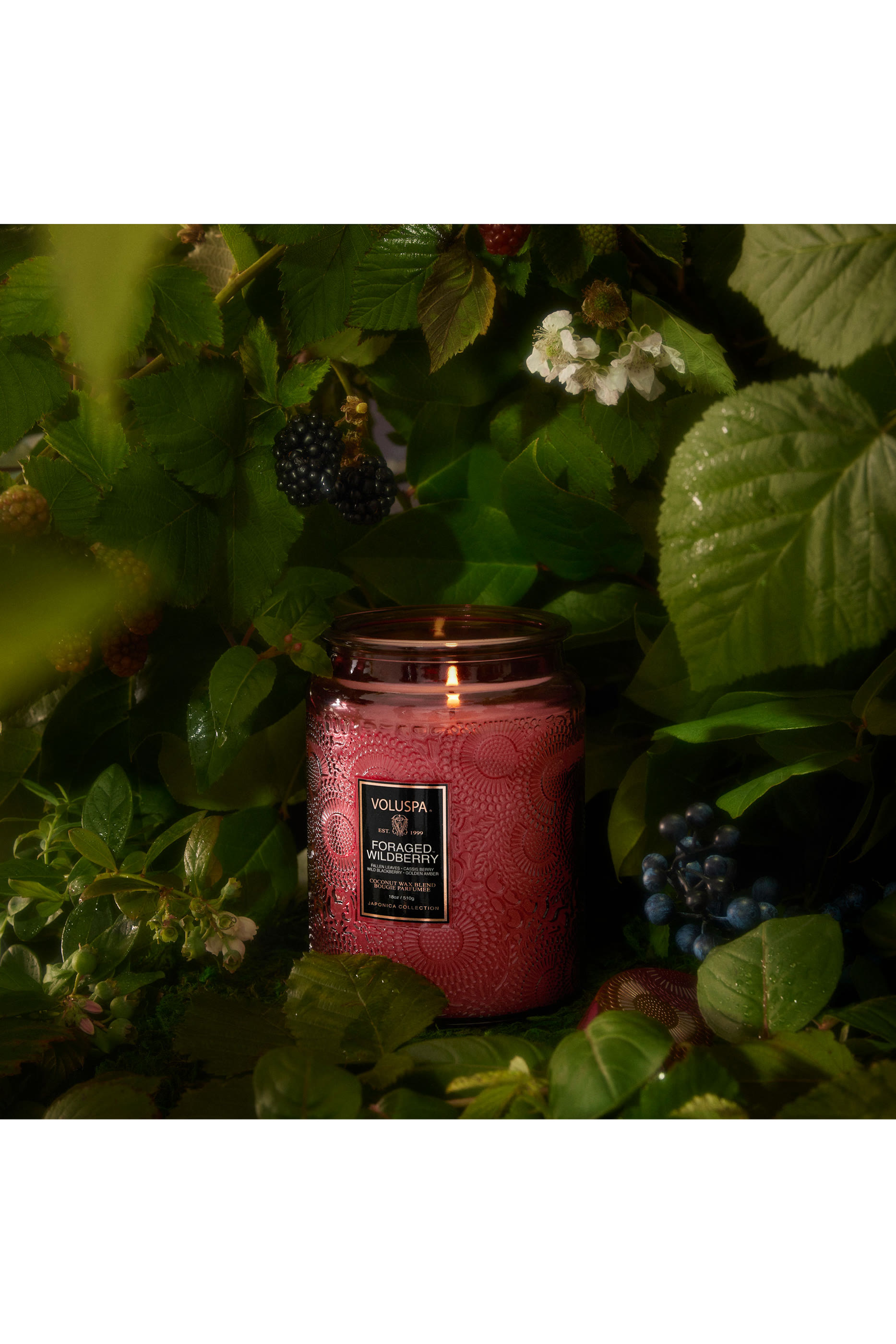 Foraged Wildberry Luxe Jar Candle