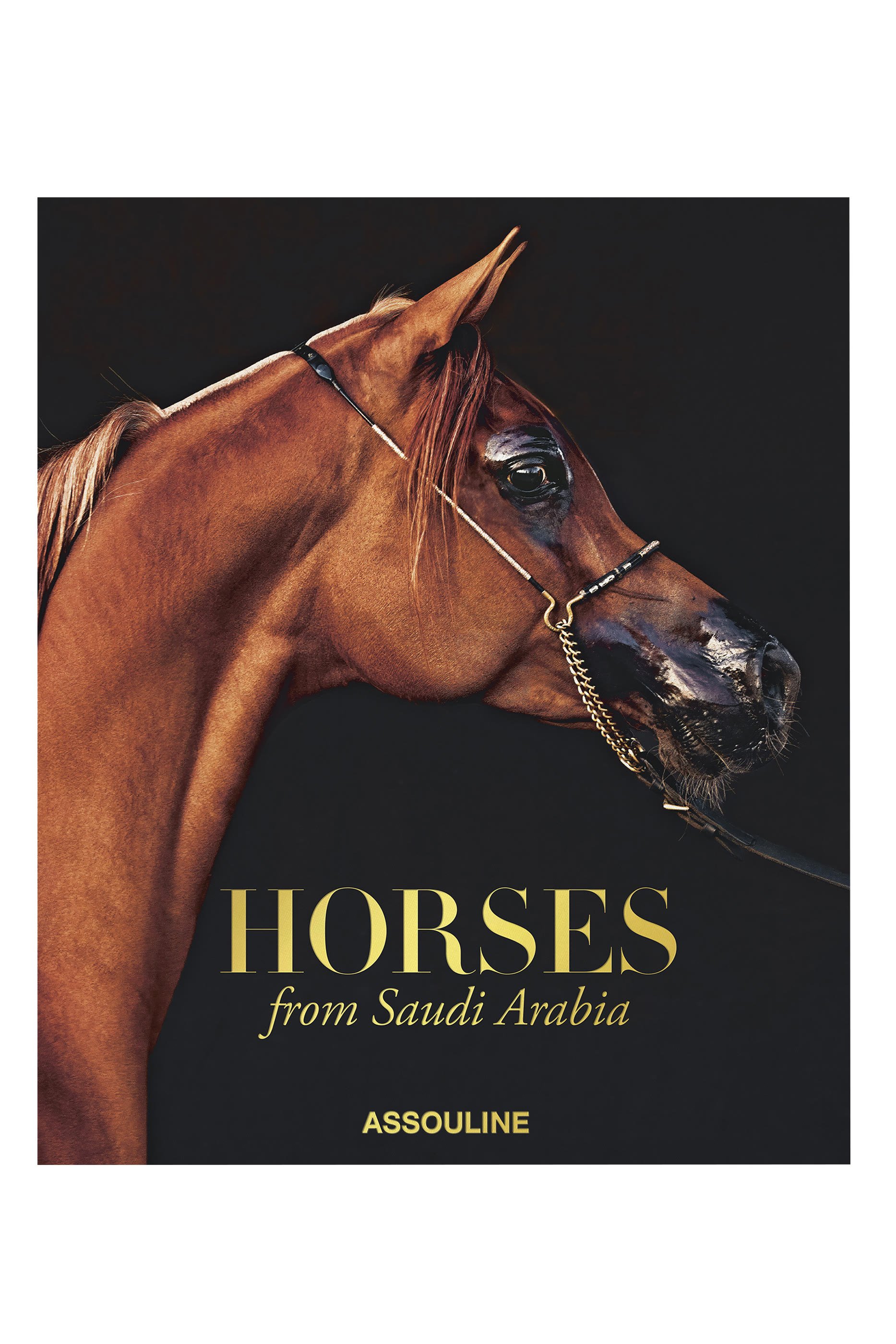 Horses From Saudi Arabia