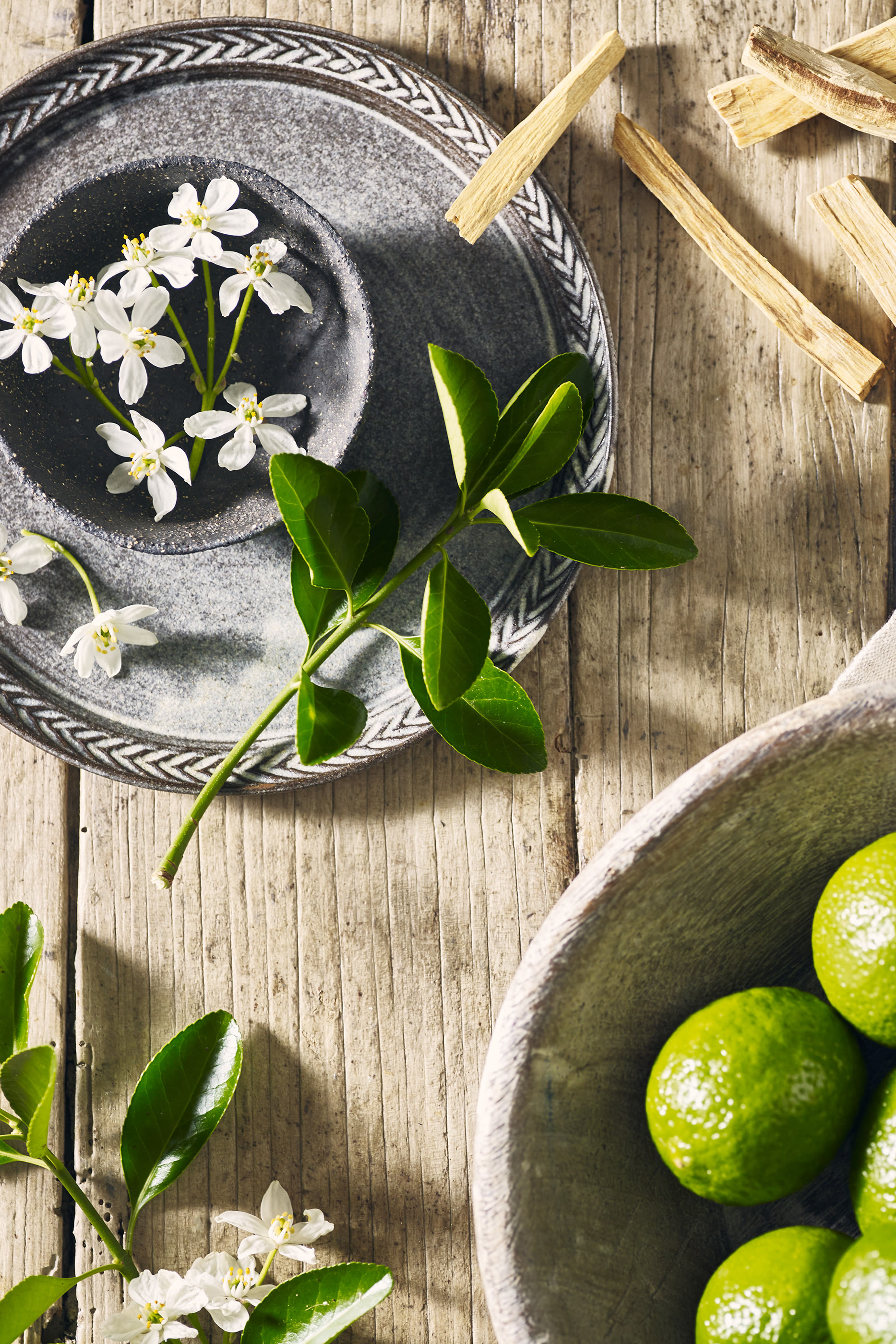 Bergamot & Cedar Signature Candle