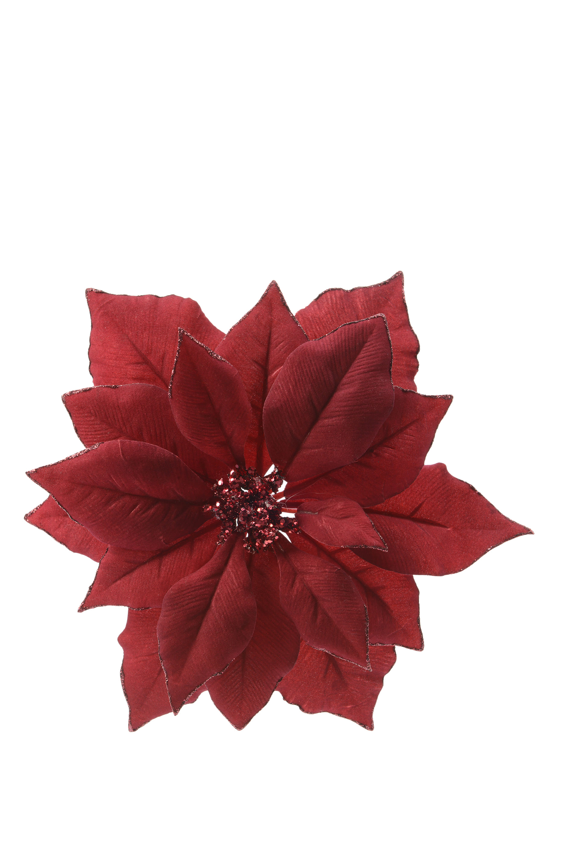 Poinsettia on Clip
