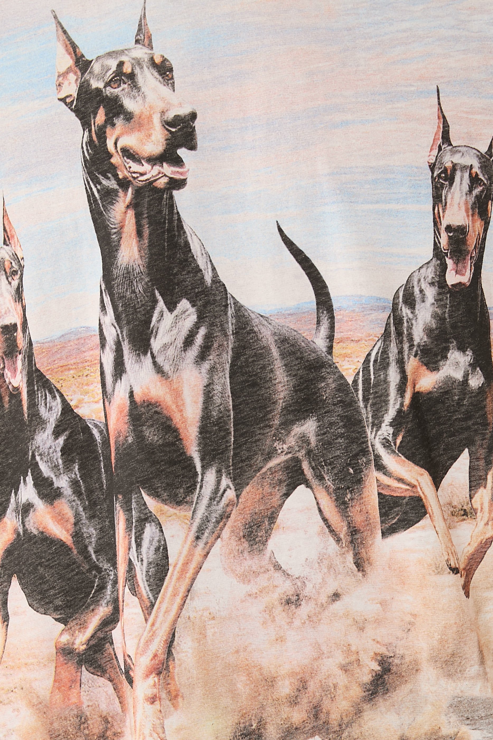 Western Dobermans T-Shirt