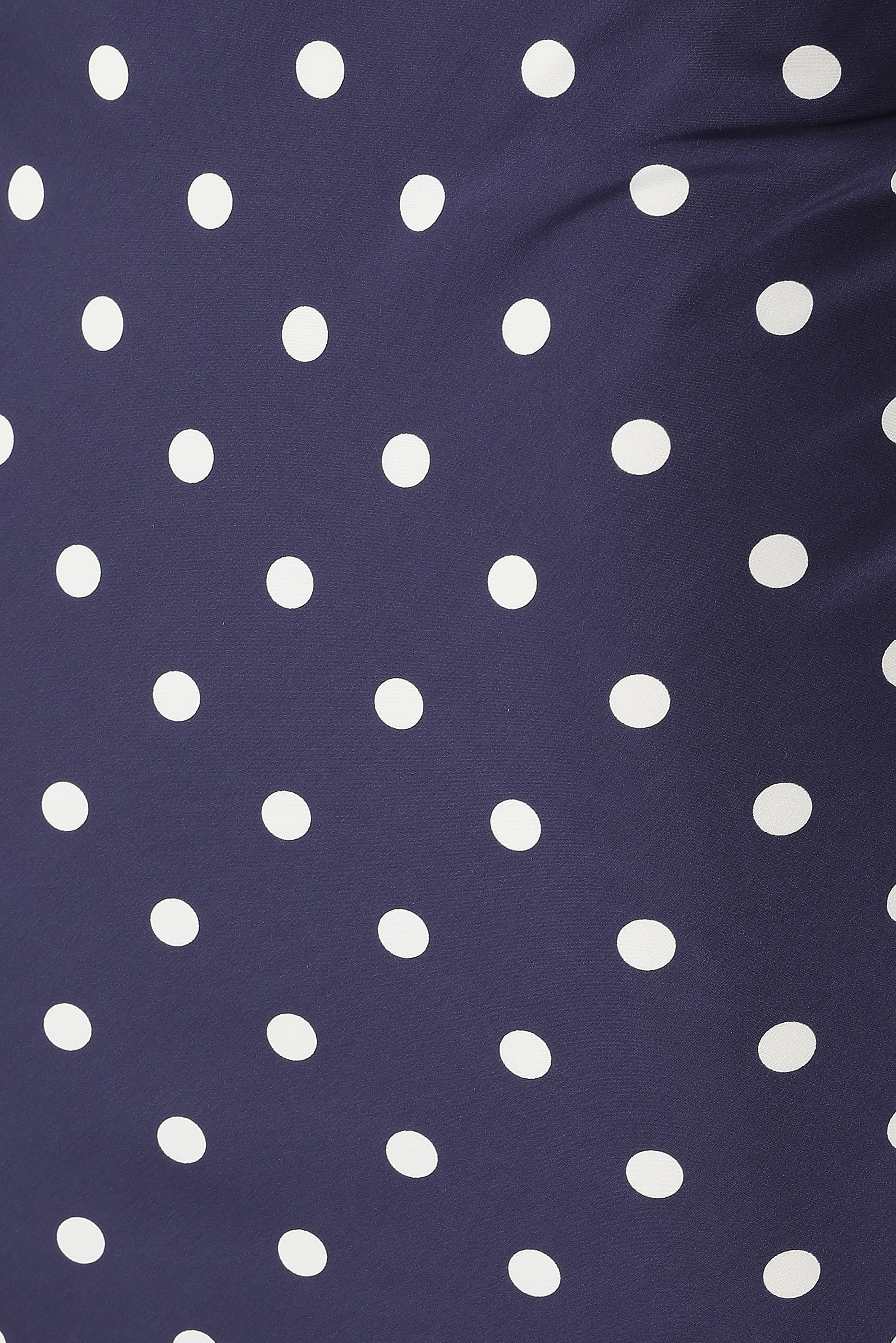 Polka Dot Midi Skirt