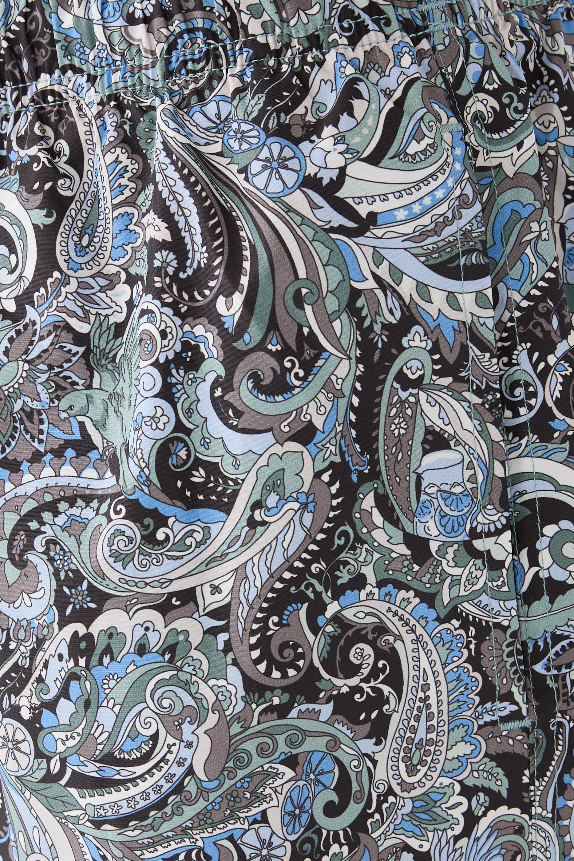 Paisley Swim Shorts