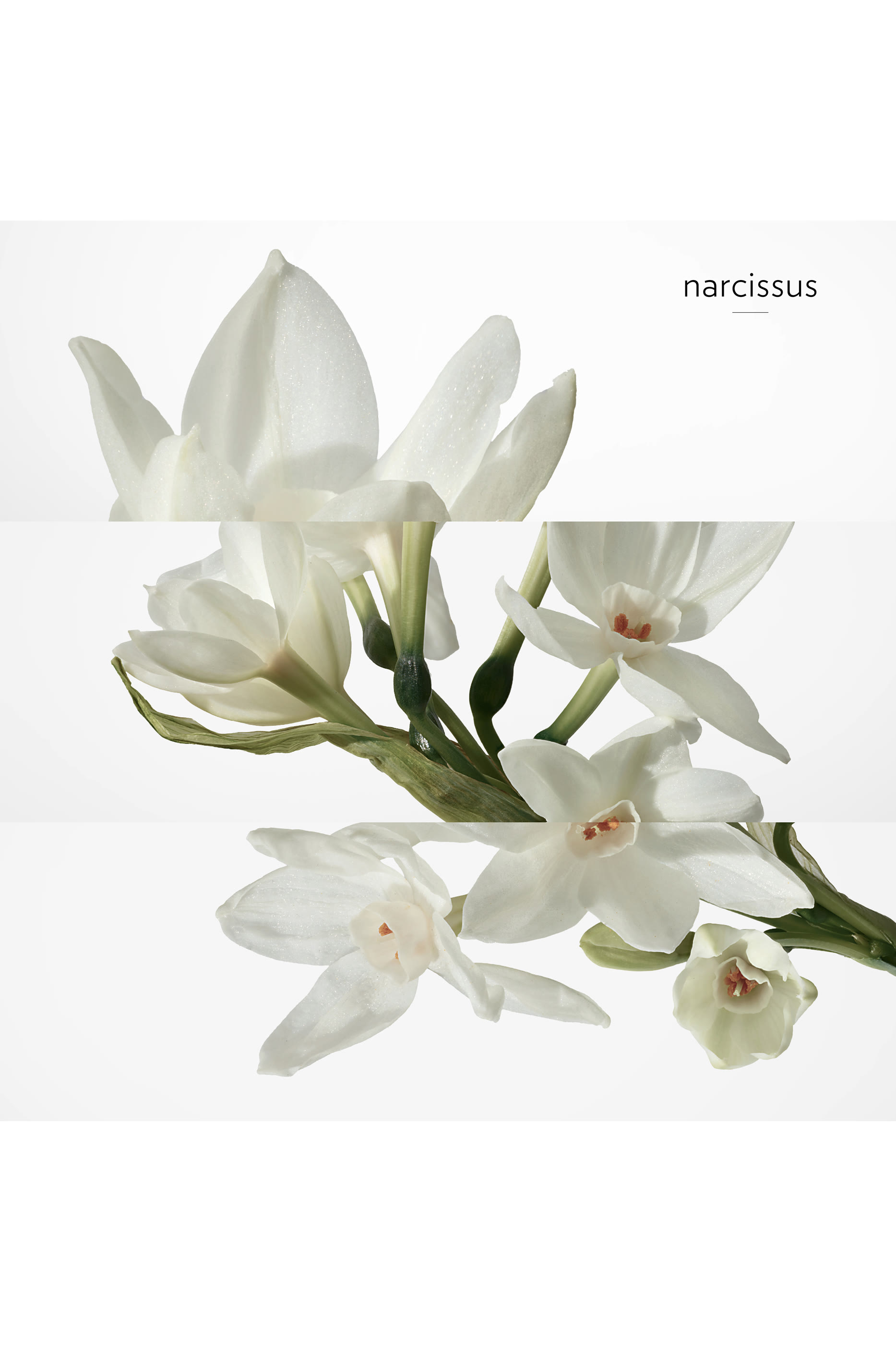 H24, Eau de Toilette Refill, 125 ml