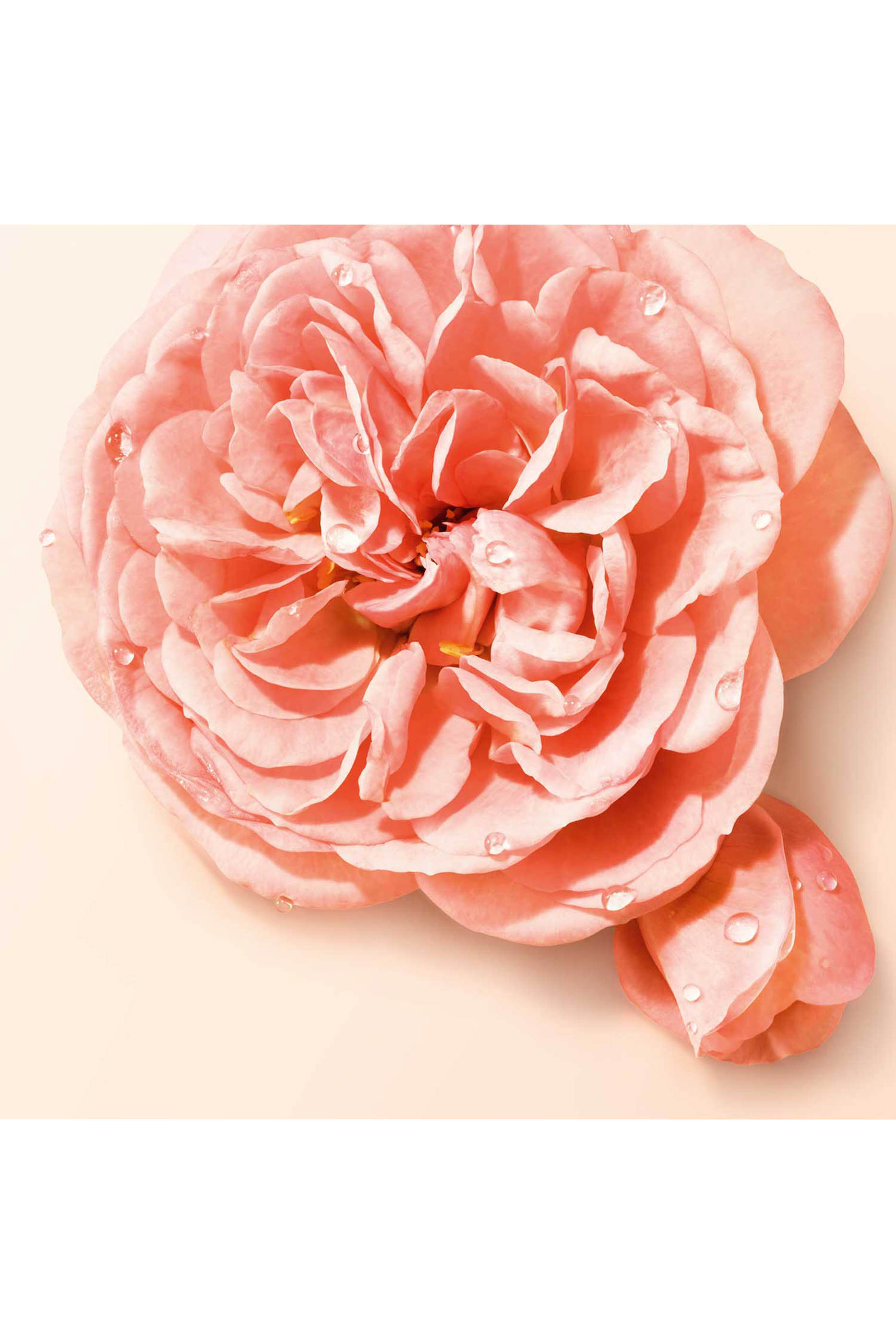 S&igrave; Nude Bloom Eau de Parfum